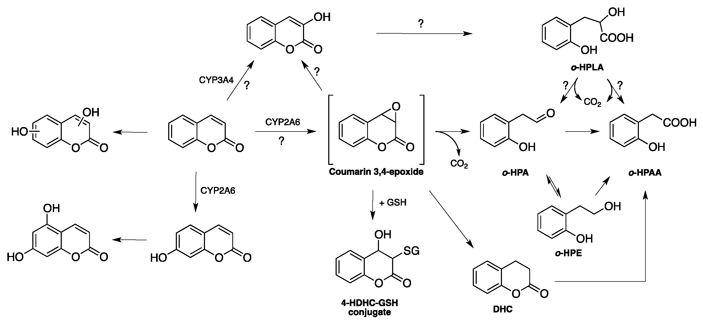 Molecules 23 00250 g005