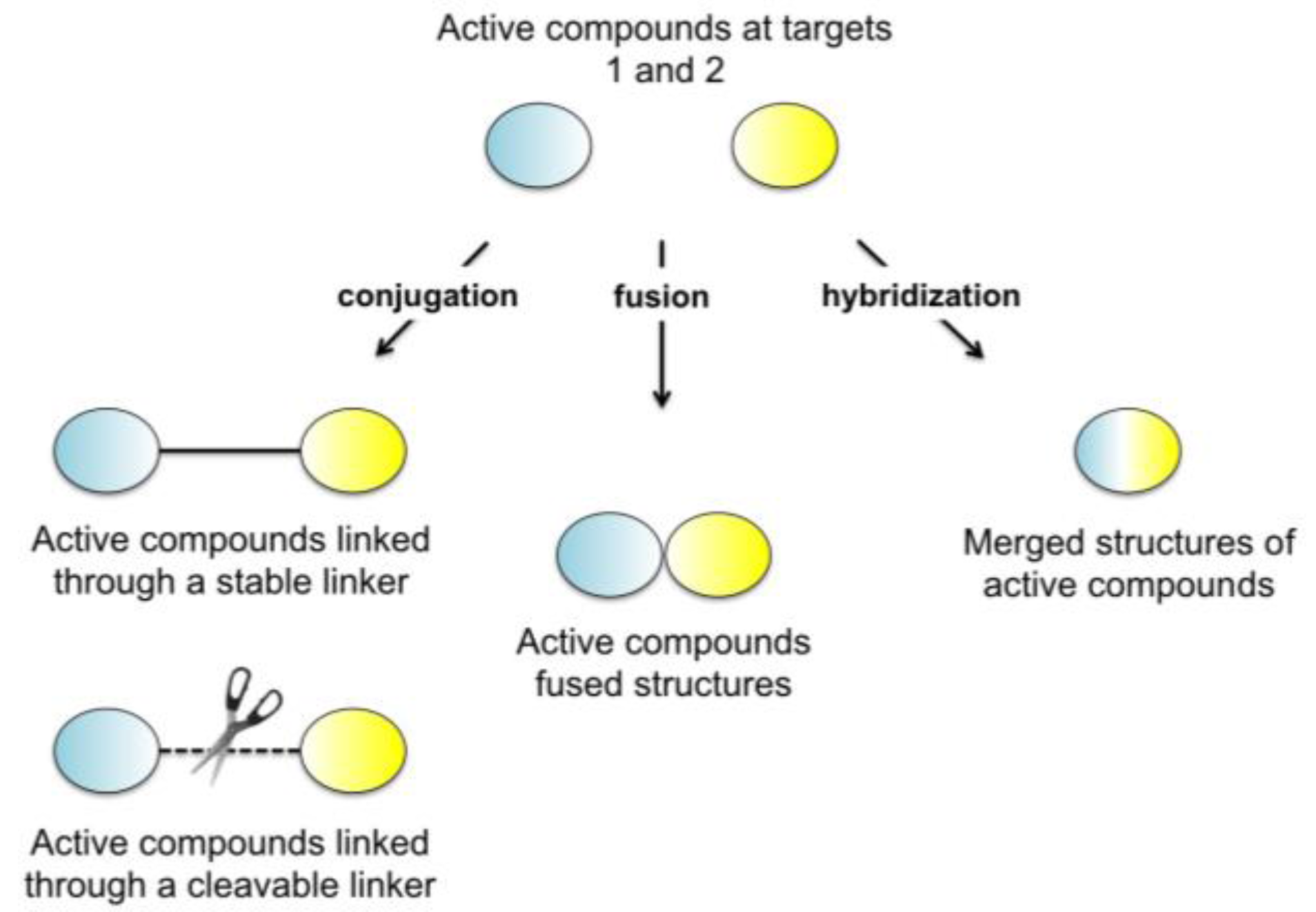 Molecules 23 00250 g026