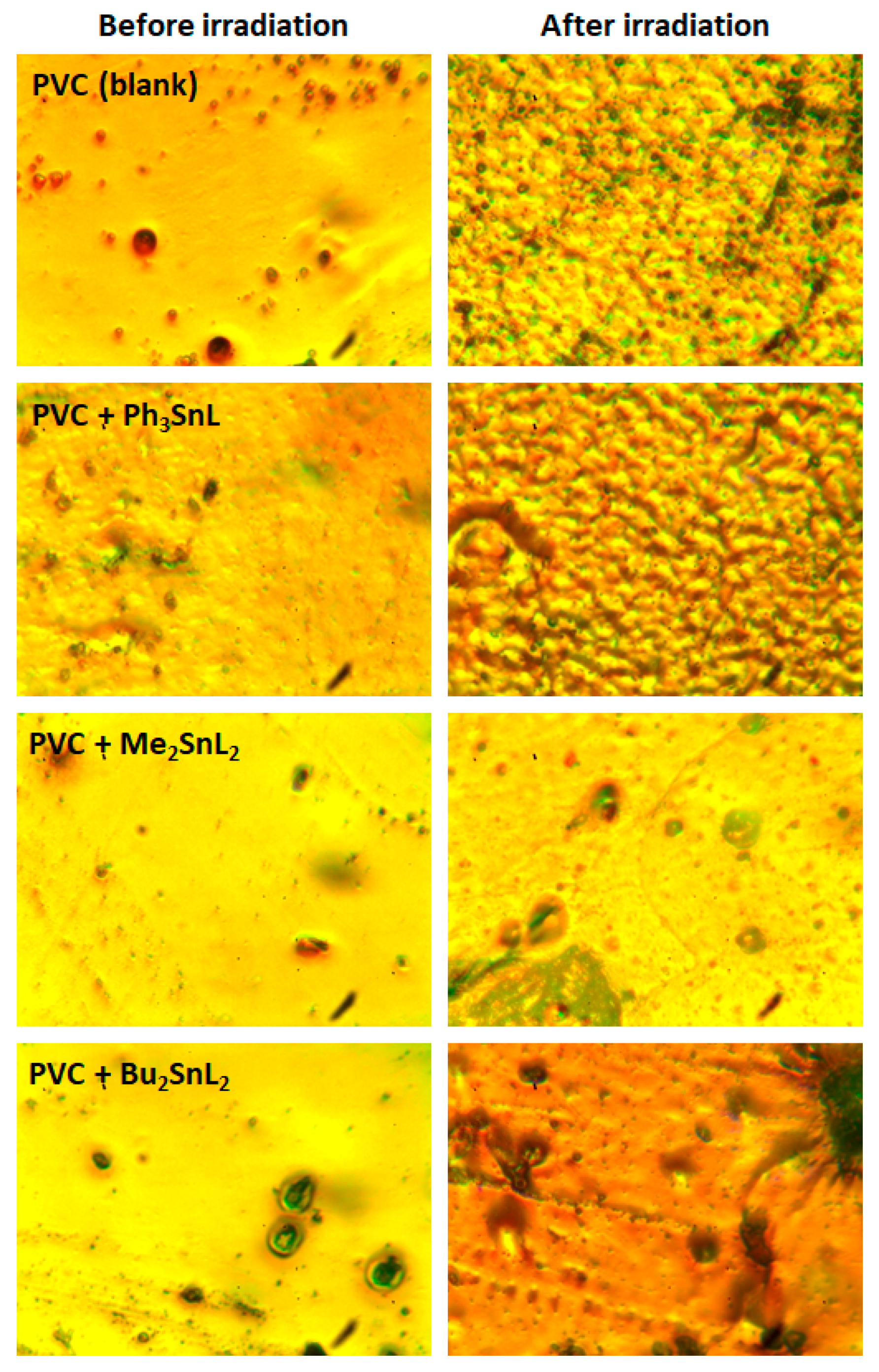 Molecules 23 00254 g010
