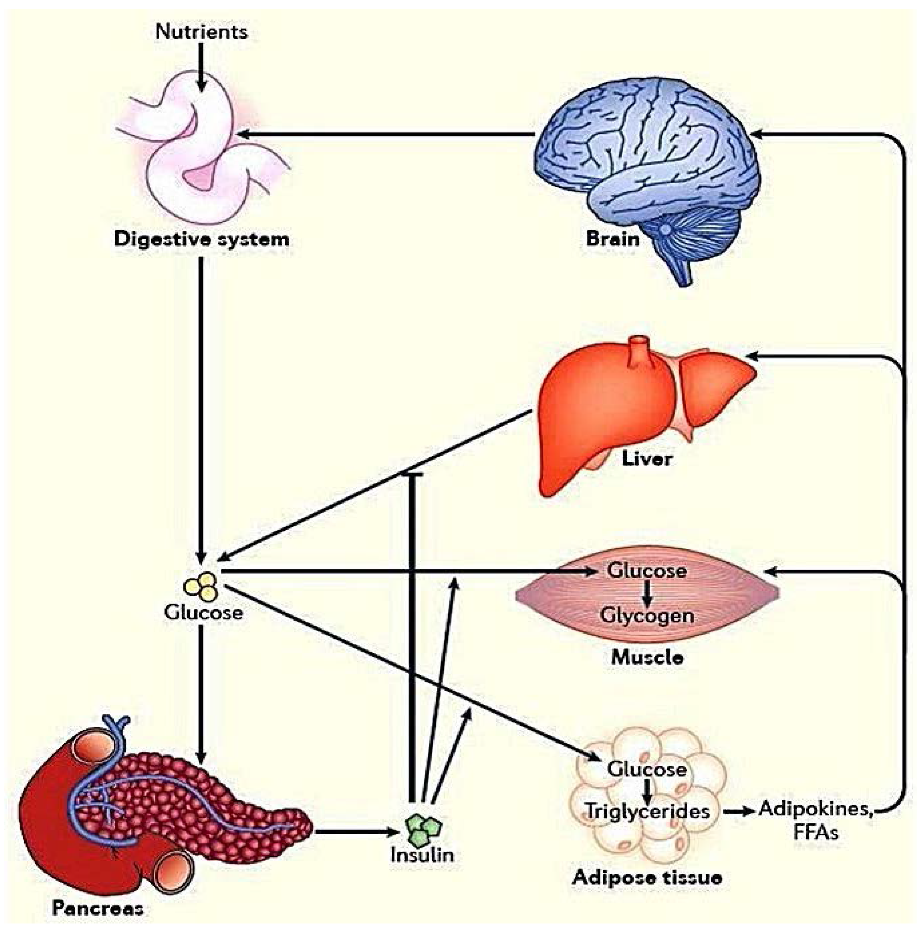 Molecules 23 00258 g001