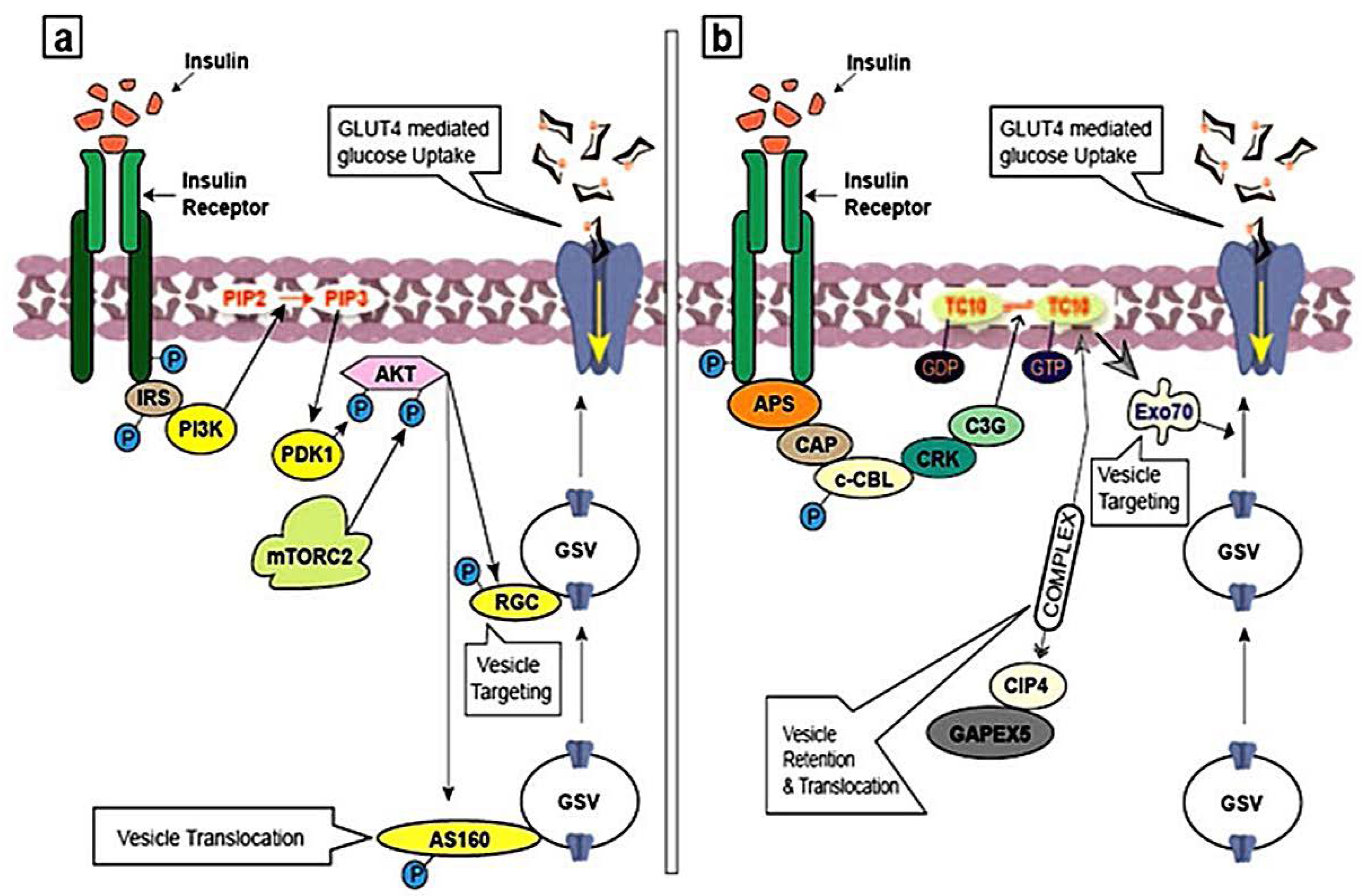 Molecules 23 00258 g004