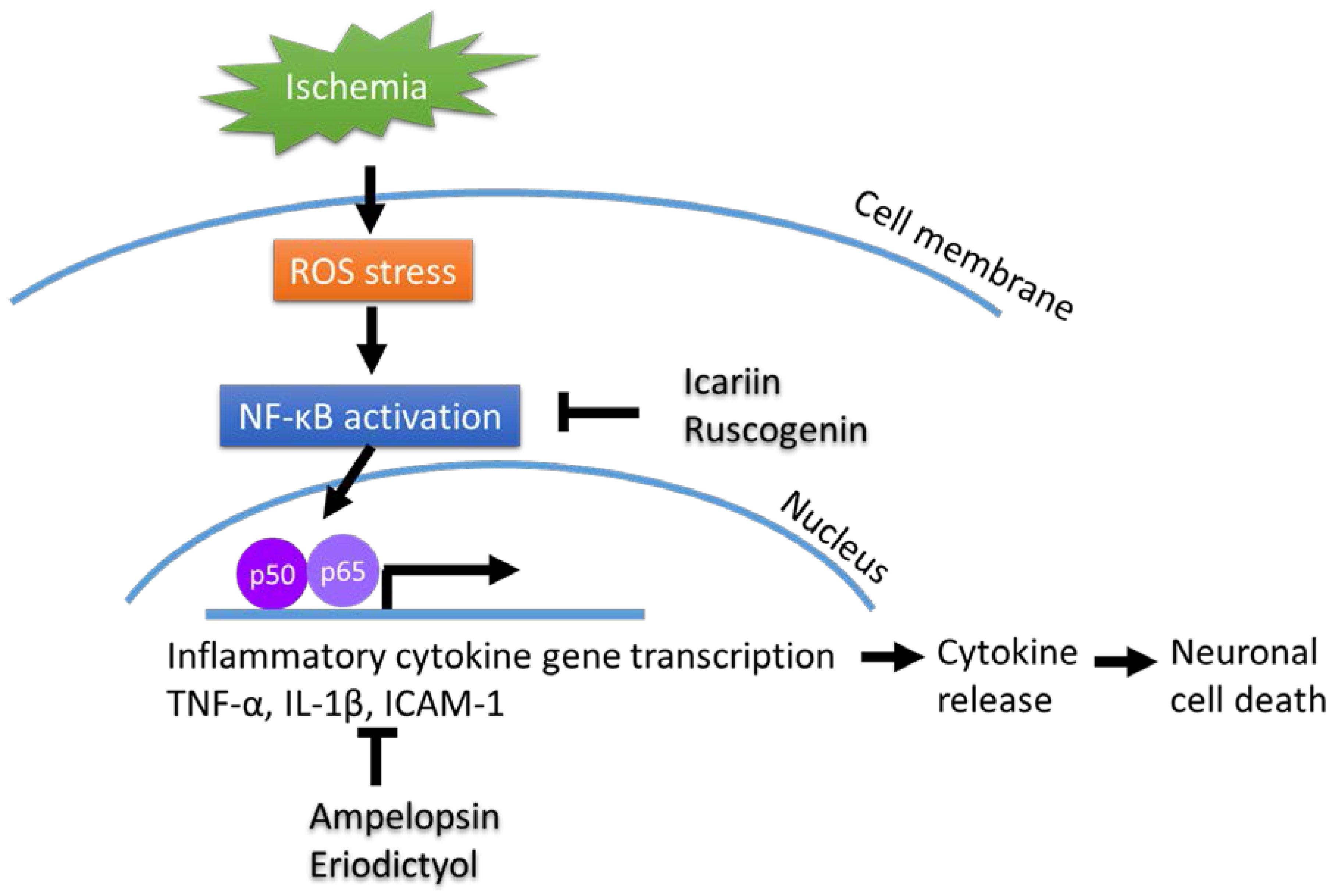 Molecules 23 00259 g001 Molecules 23 00259 g001