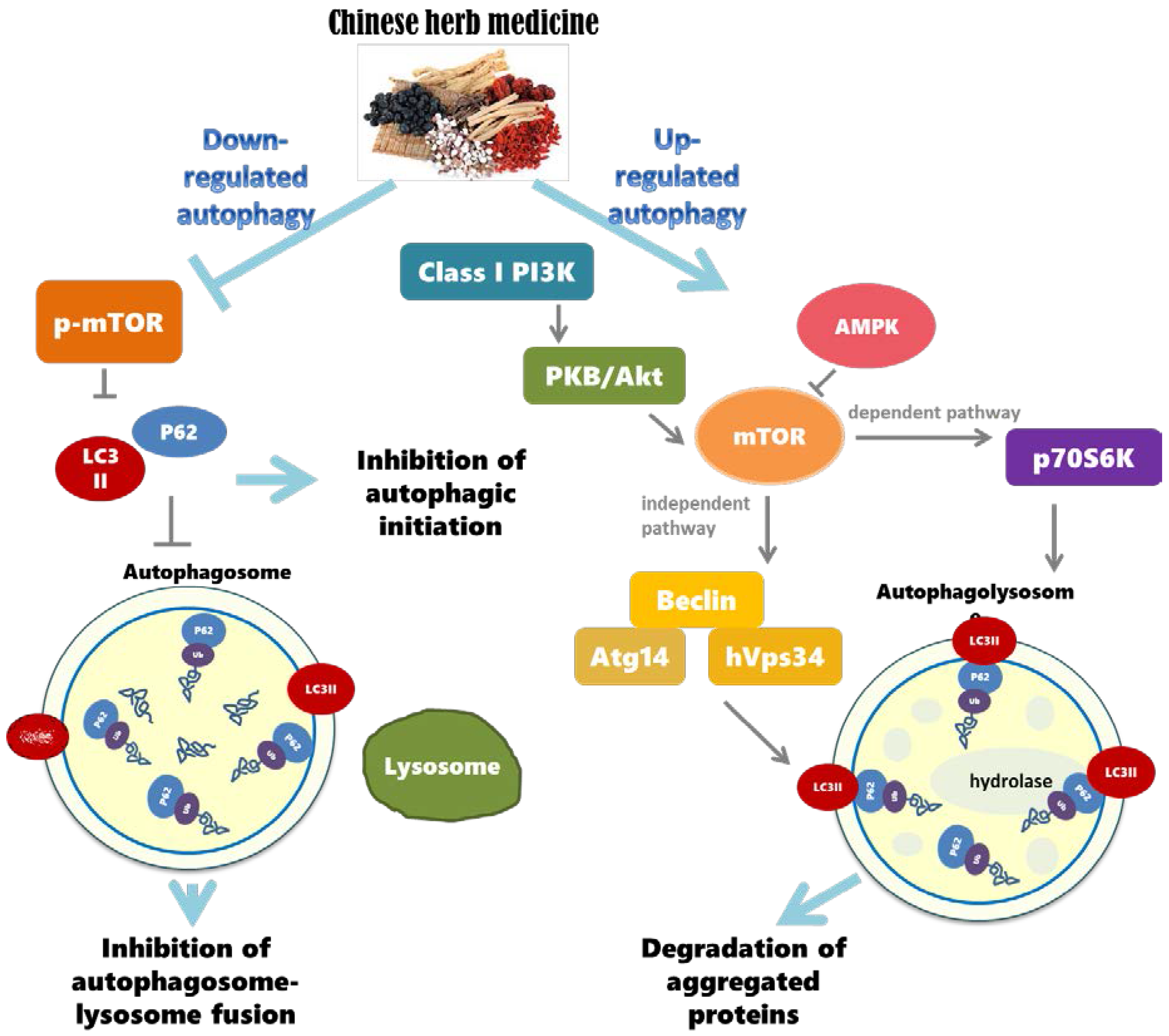 Molecules 23 00259 g002 Molecules 23 00259 g002