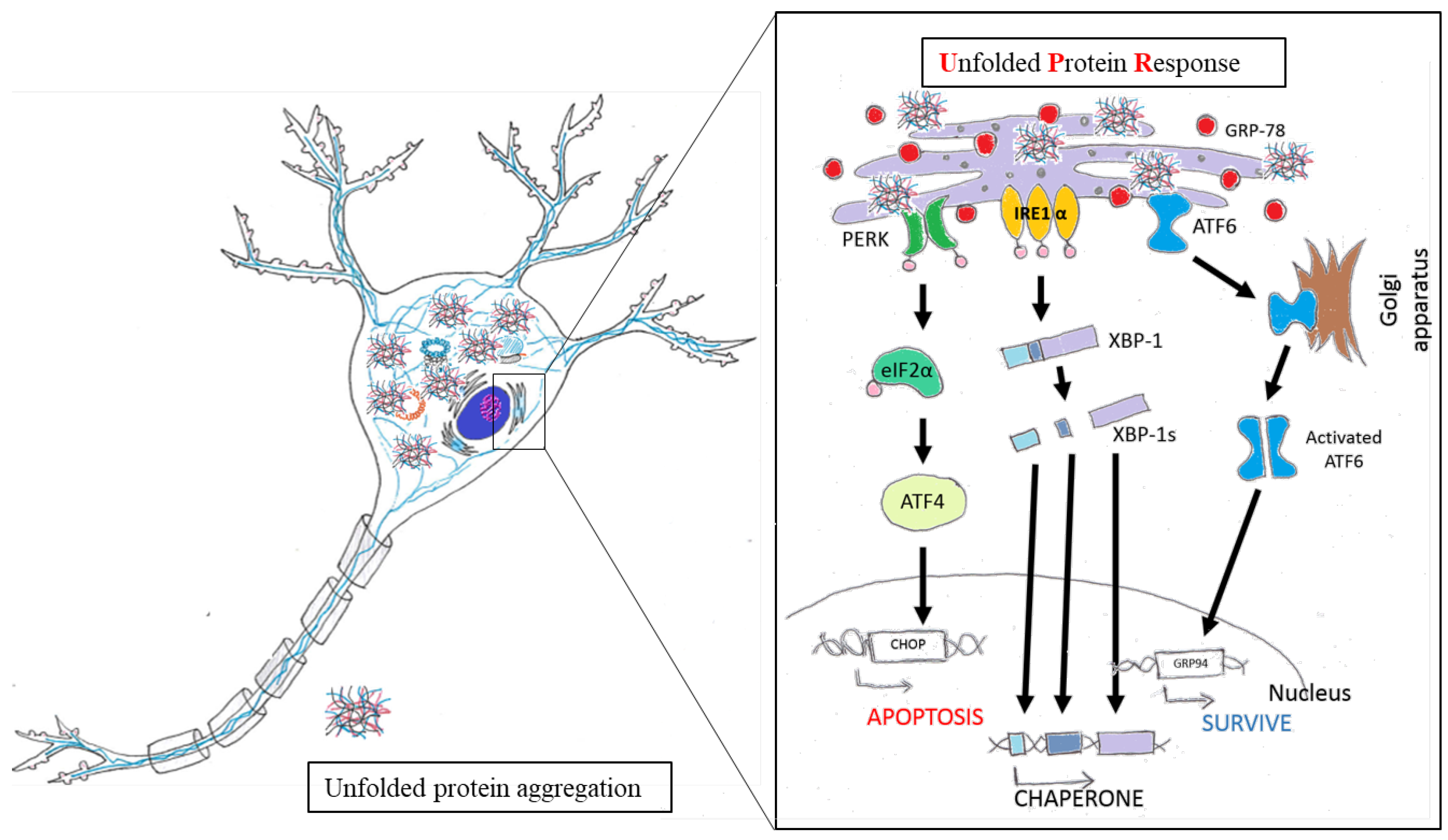 Molecules 23 00259 g003 Molecules 23 00259 g003