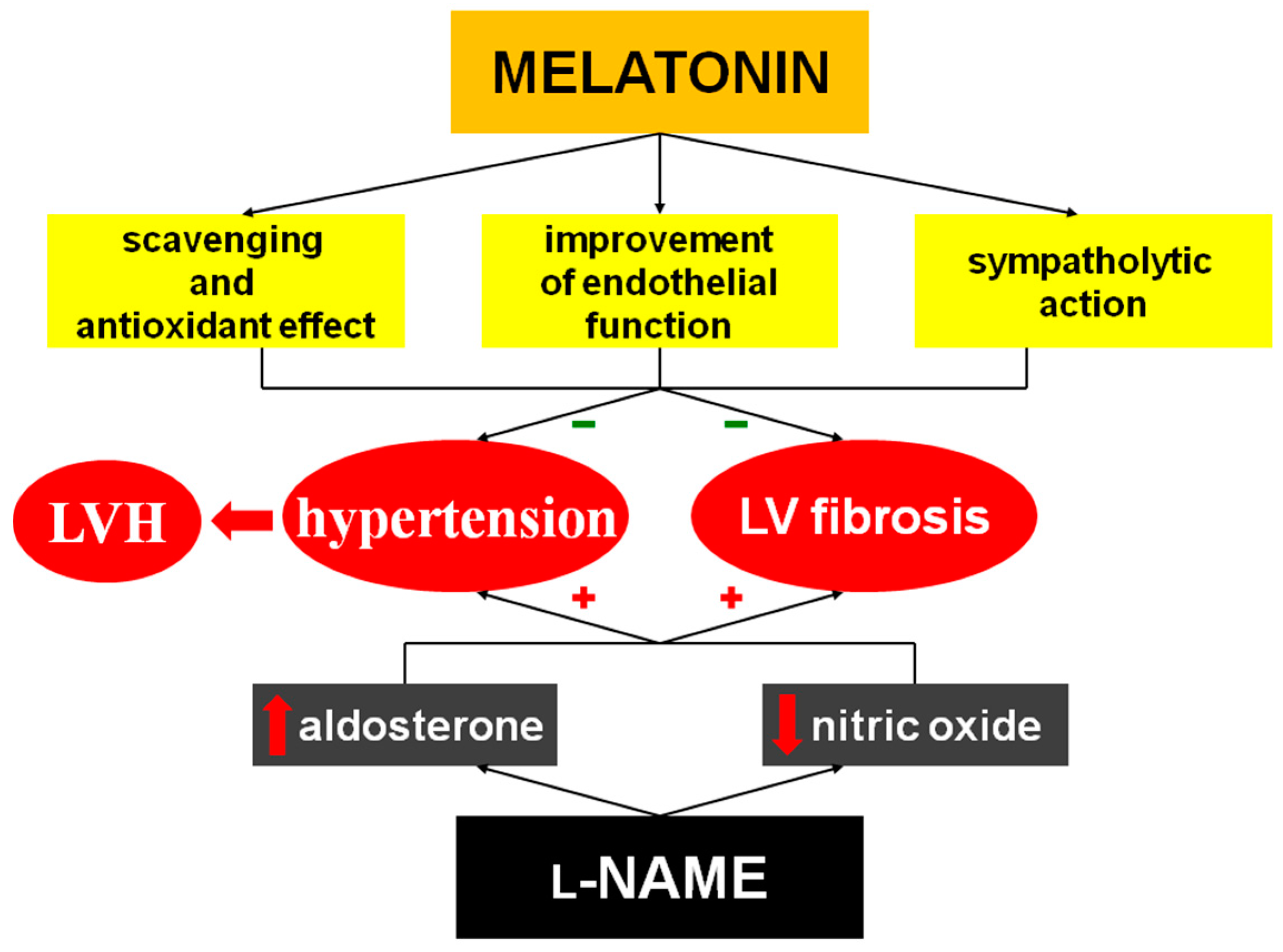 Molecules 23 00265 g007