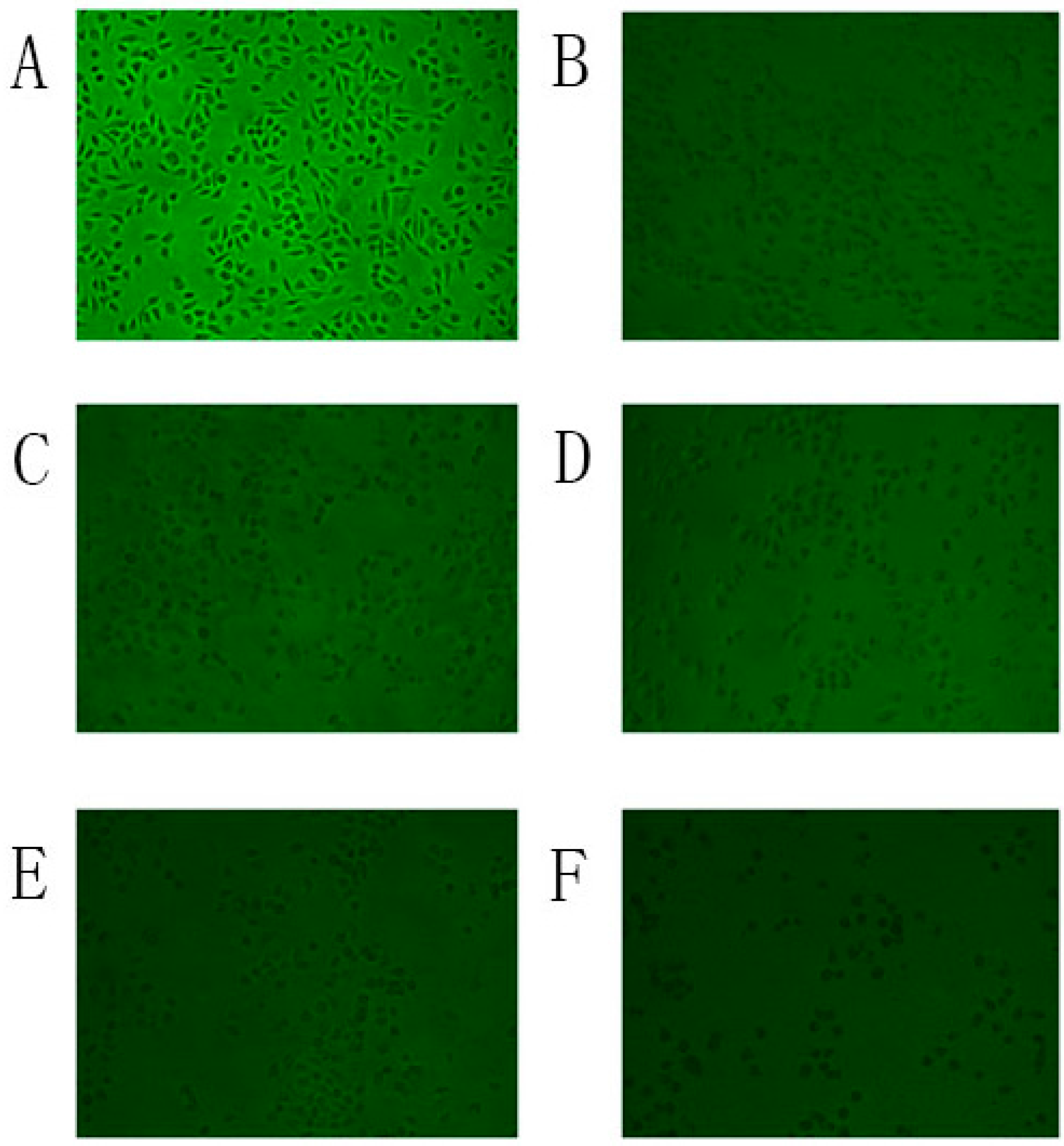 Molecules 23 00266 g004