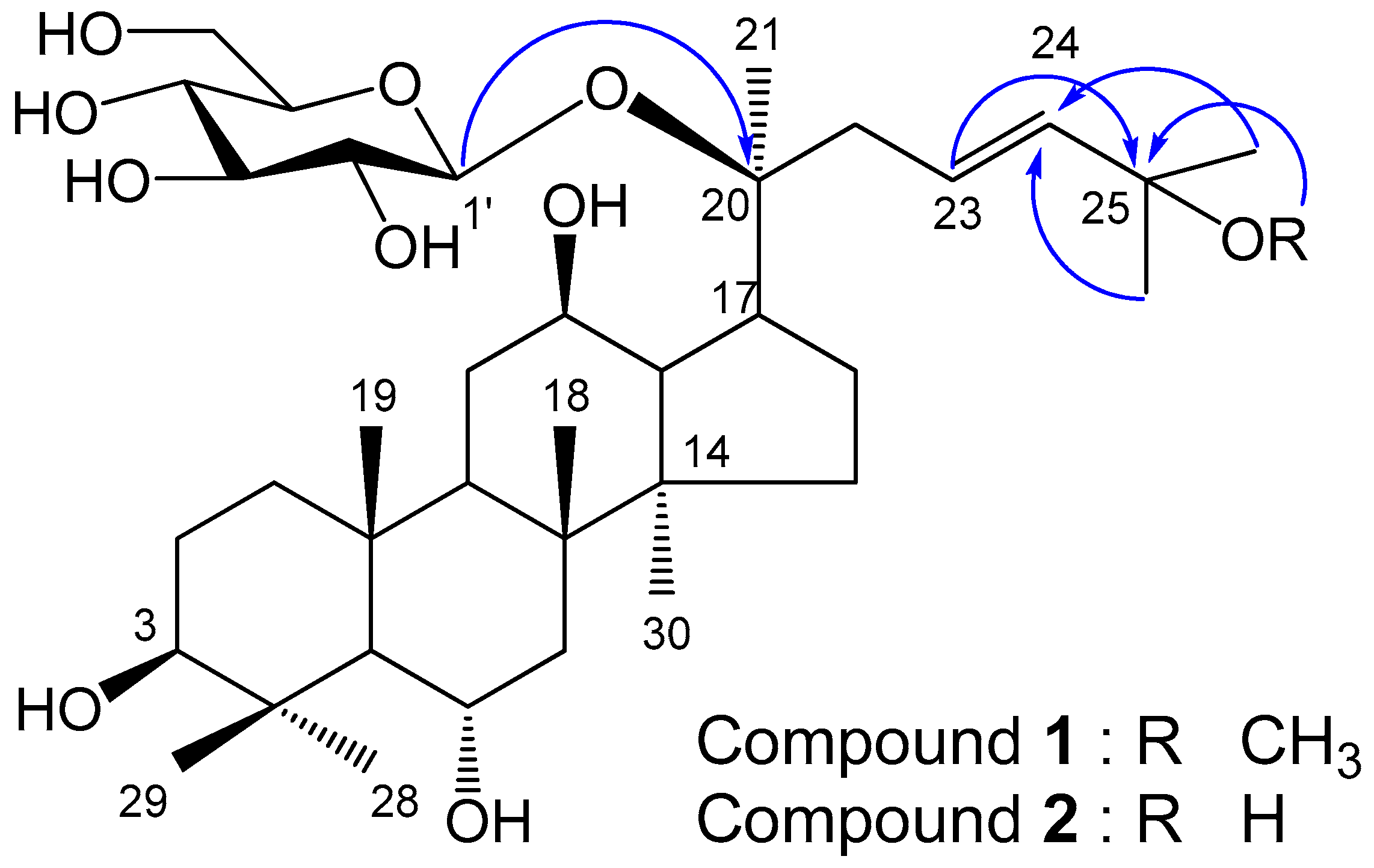 Molecules 23 00267 g001