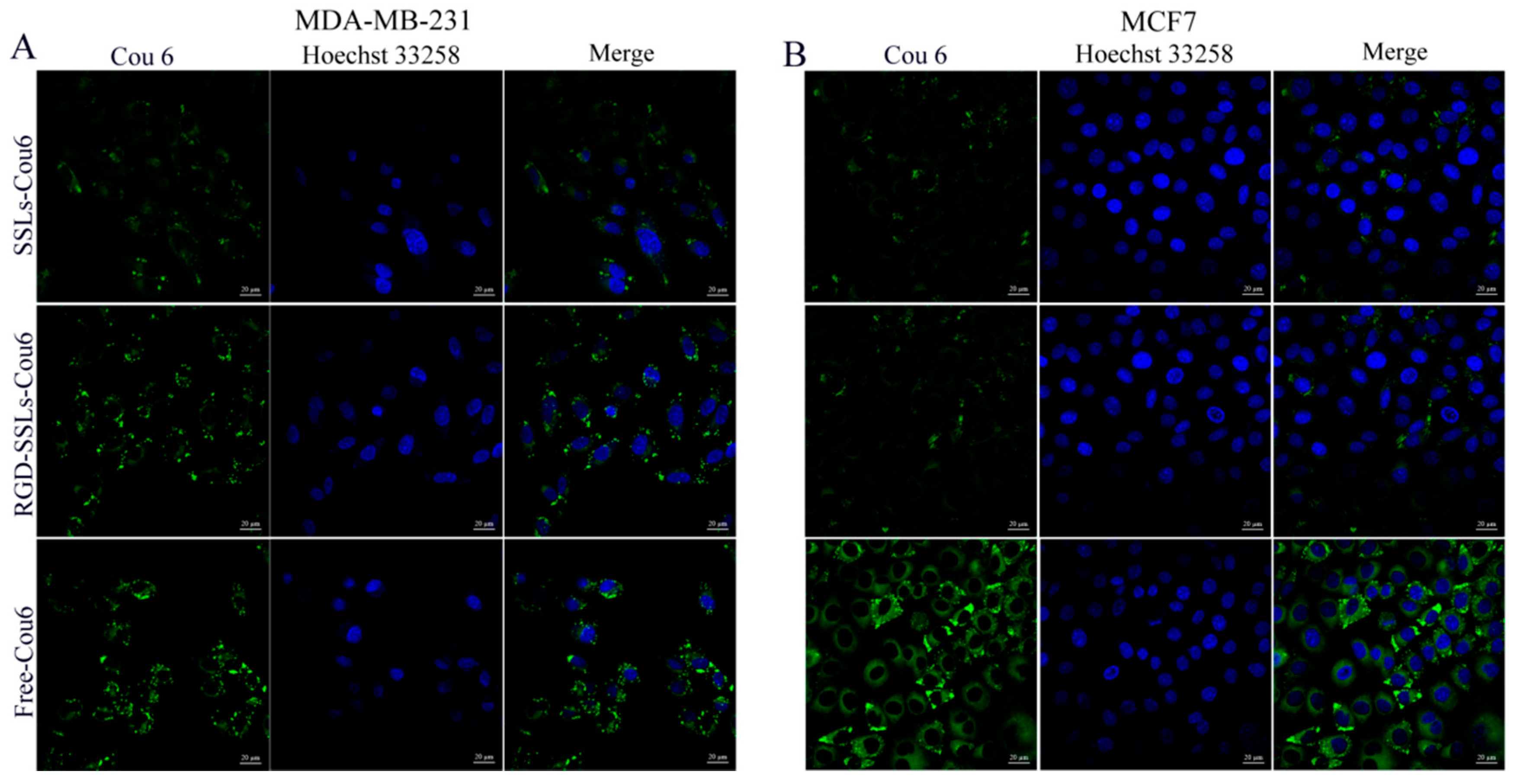 Molecules 23 00268 g005