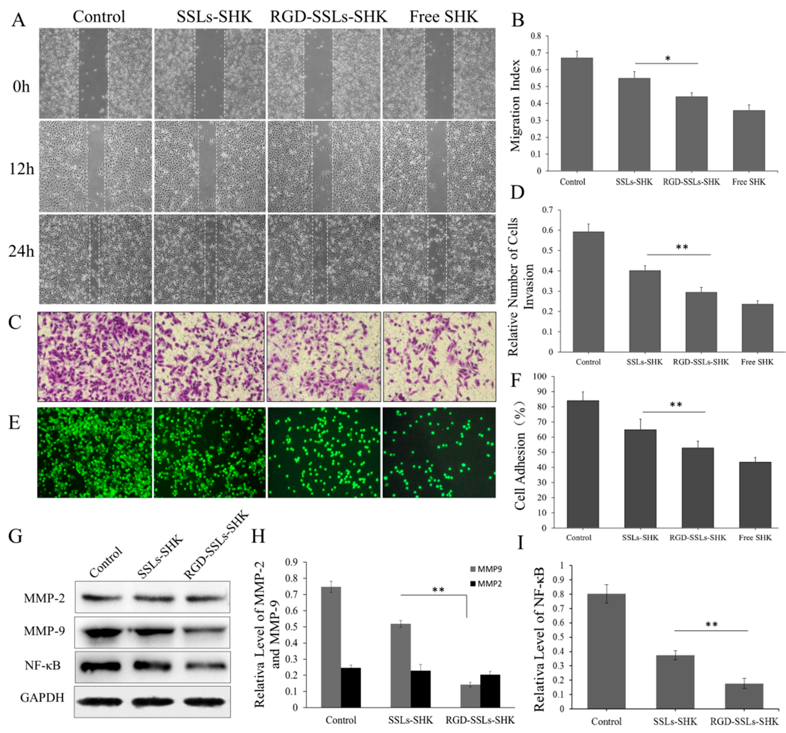 Molecules 23 00268 g008