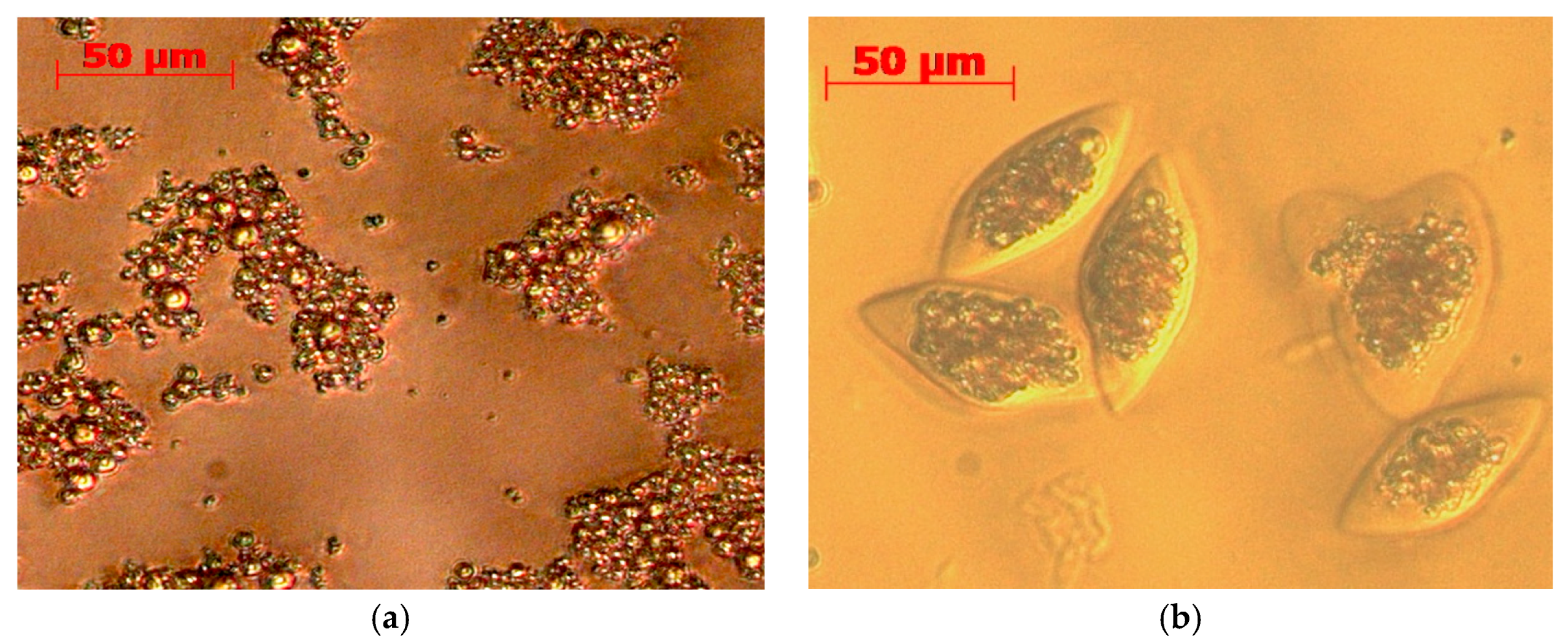 Molecules 23 00275 g004a