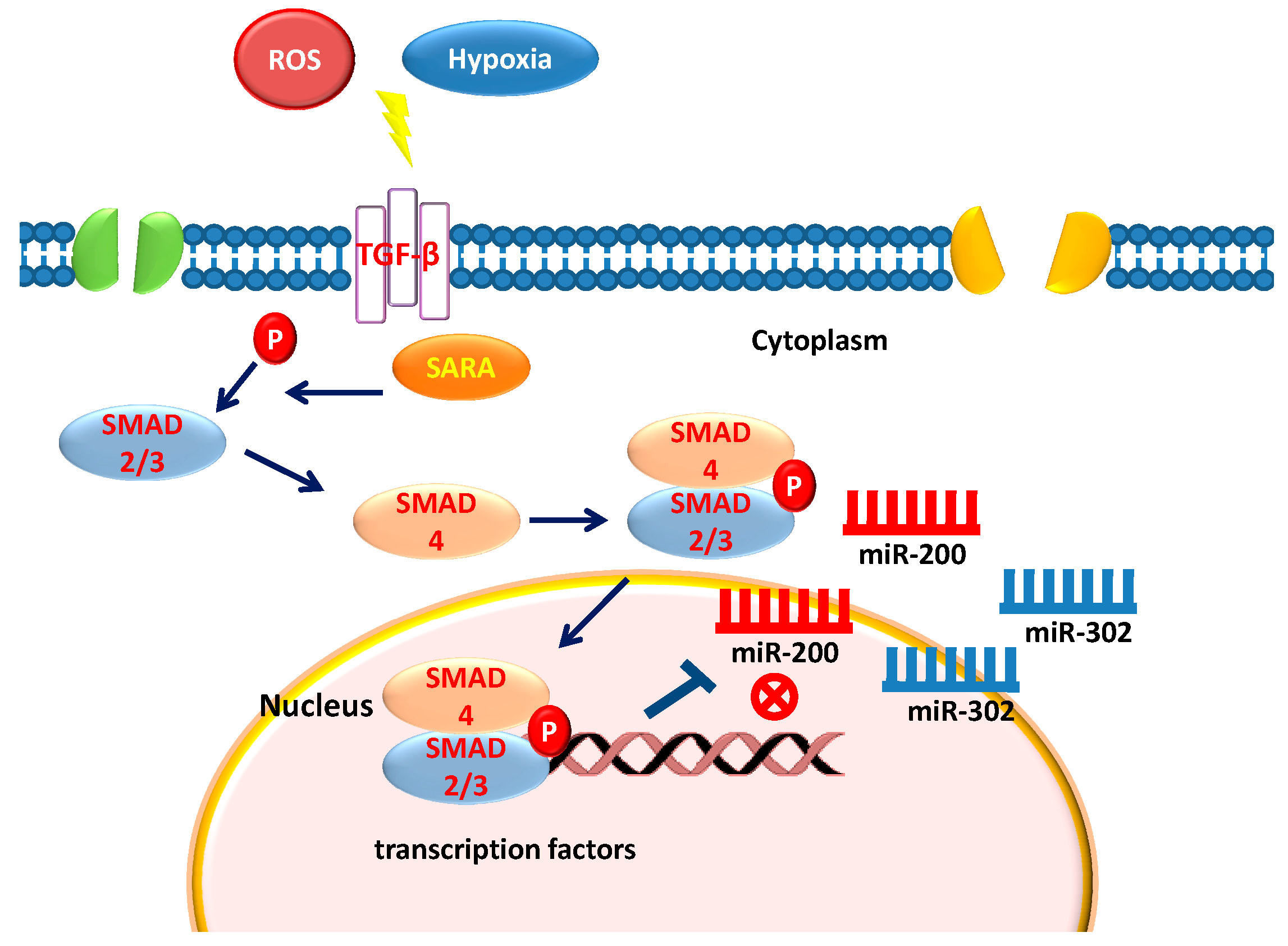Molecules 23 00282 g001