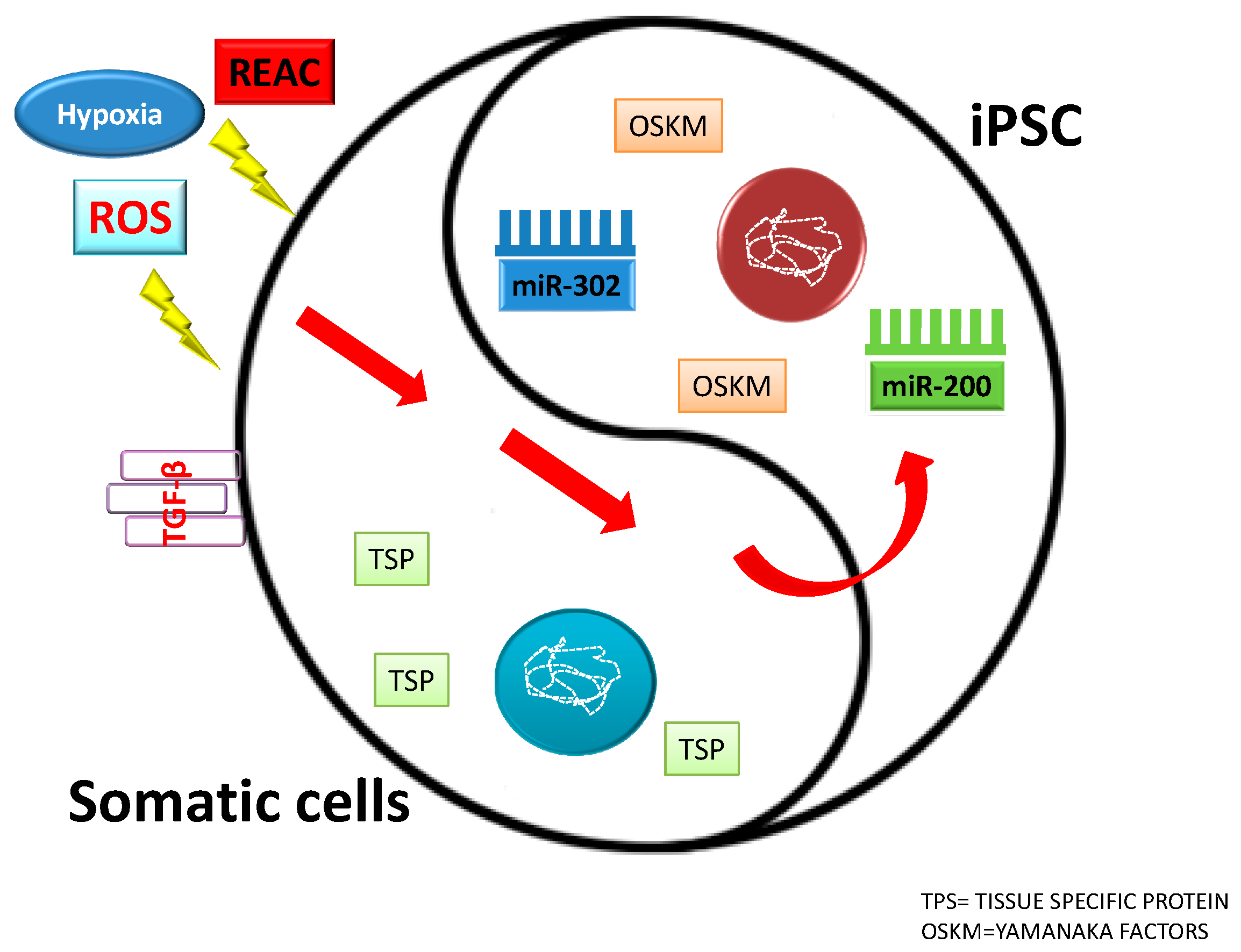 Molecules 23 00282 g002
