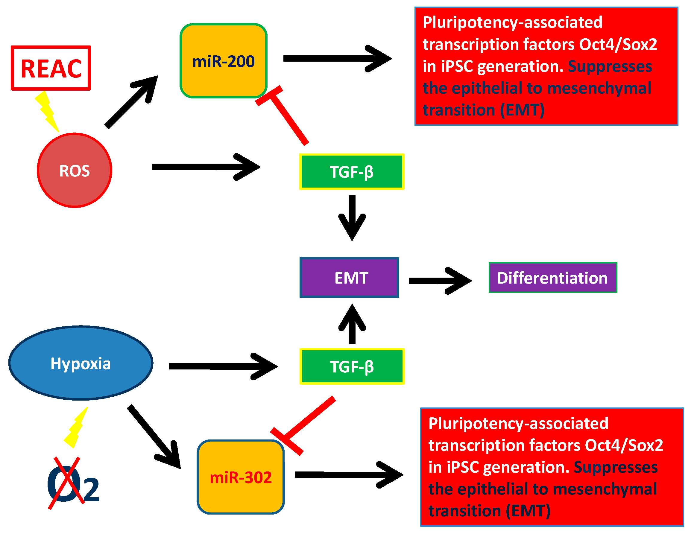 Molecules 23 00282 g003