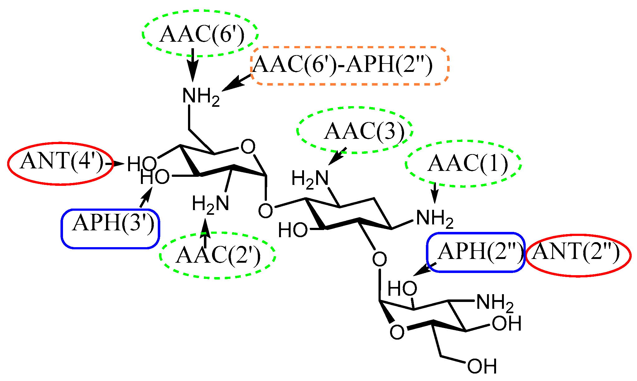 Molecules 23 00284 g001 Molecules 23 00284 g001