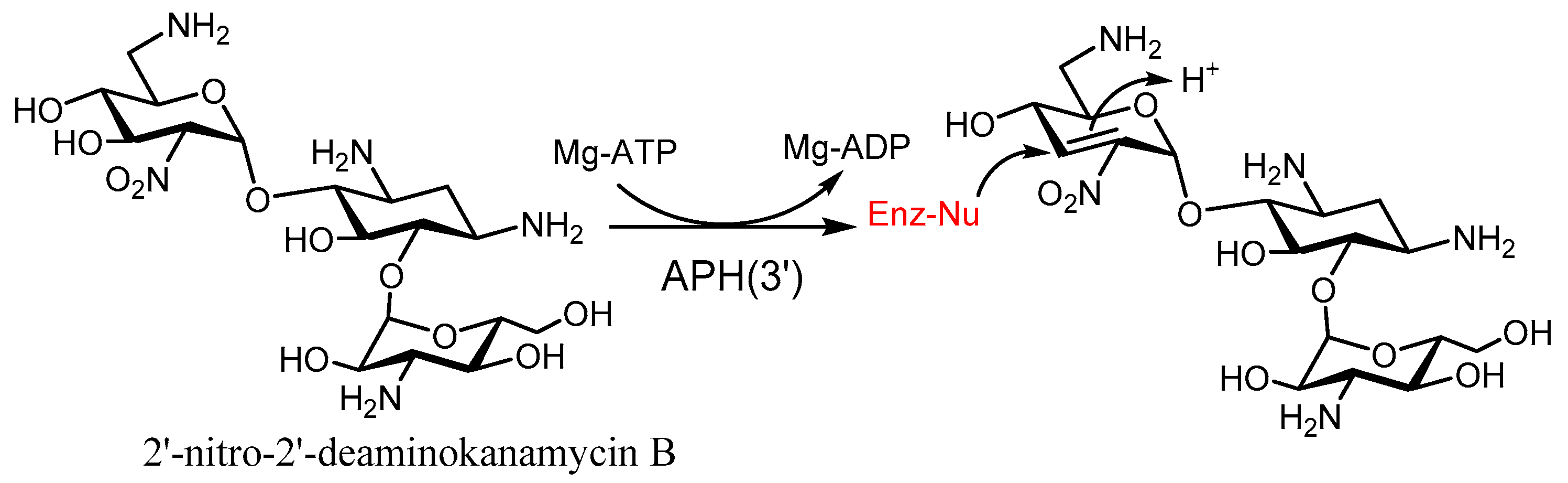 Molecules 23 00284 g012 Molecules 23 00284 g012