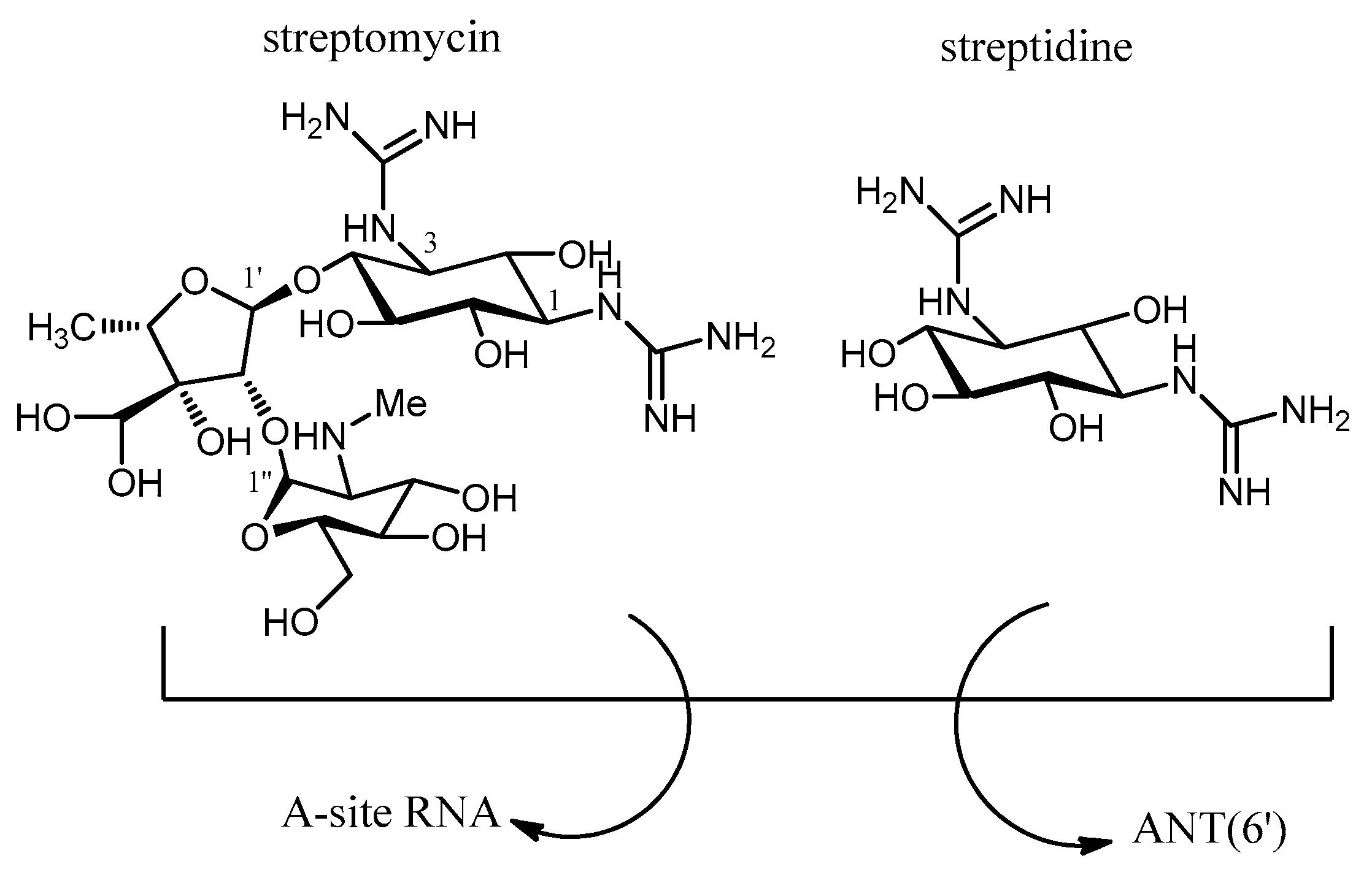 Molecules 23 00284 g015 Molecules 23 00284 g015