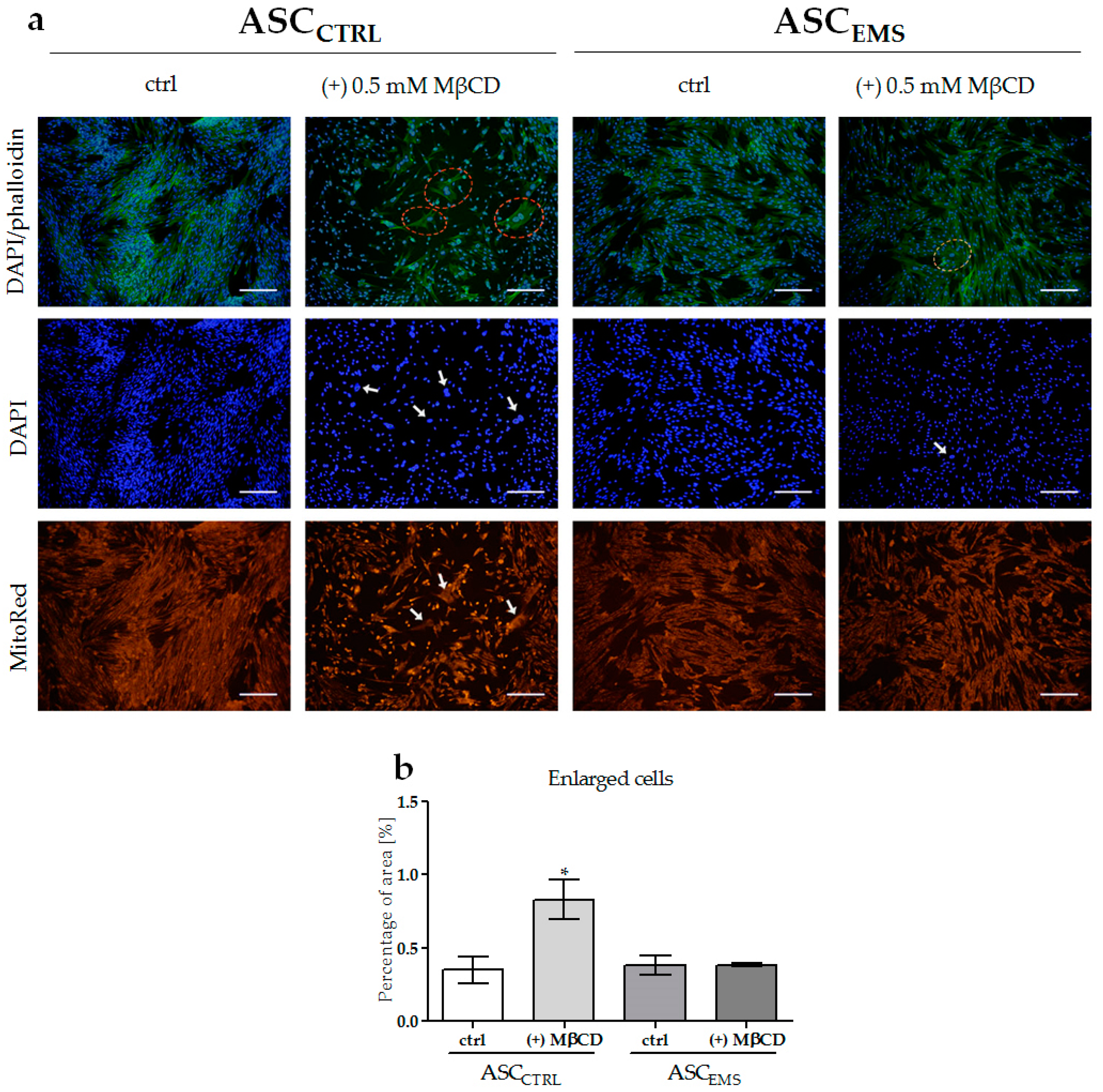 Molecules 23 00287 g002