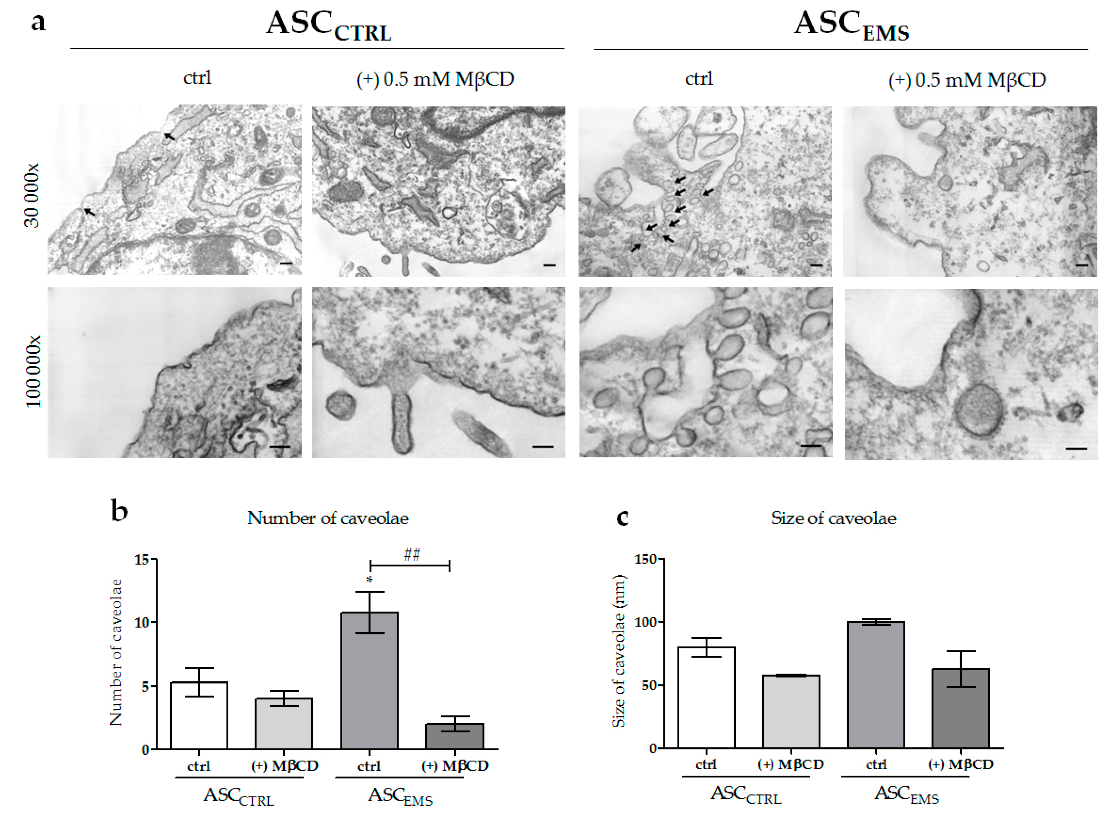 Molecules 23 00287 g003