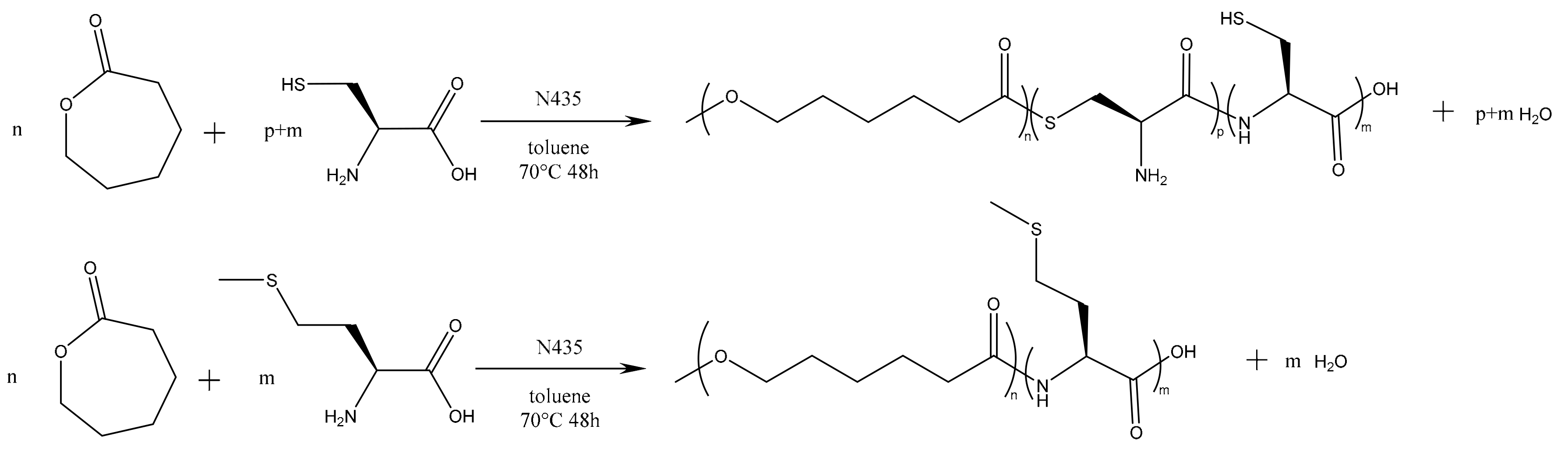 Molecules 23 00290 g001