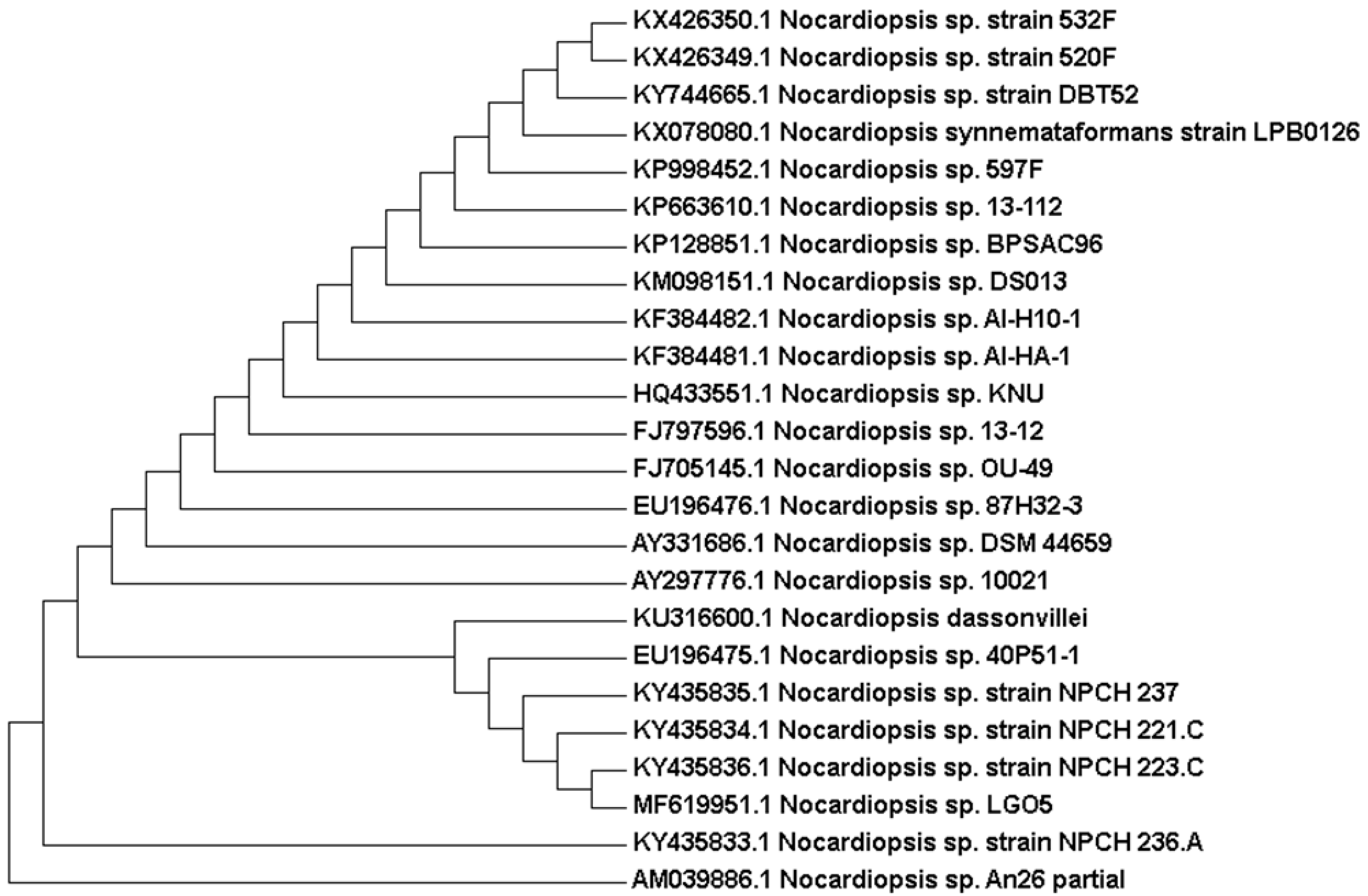 Molecules 23 00299 g004