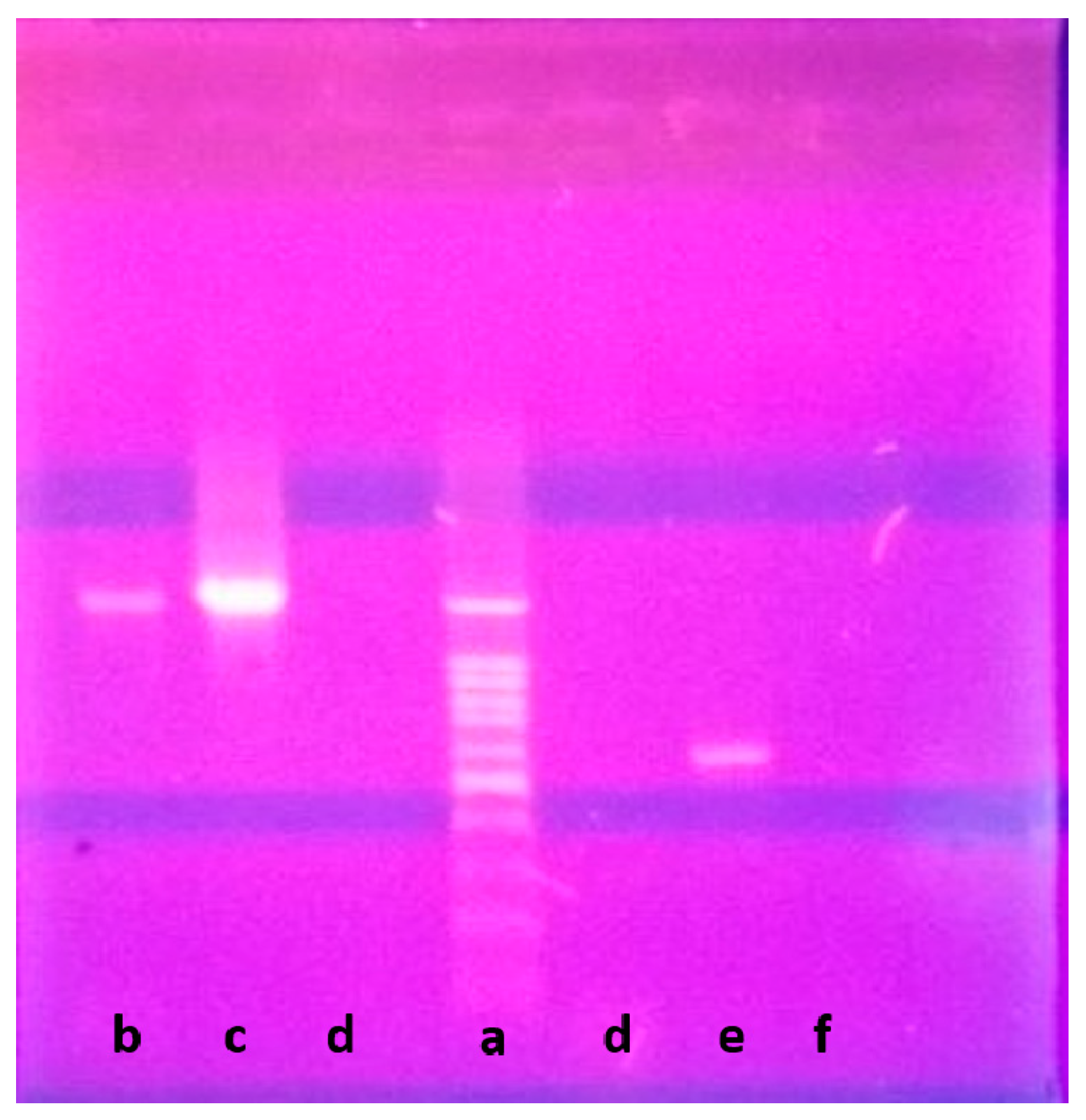 Molecules 23 00299 g005