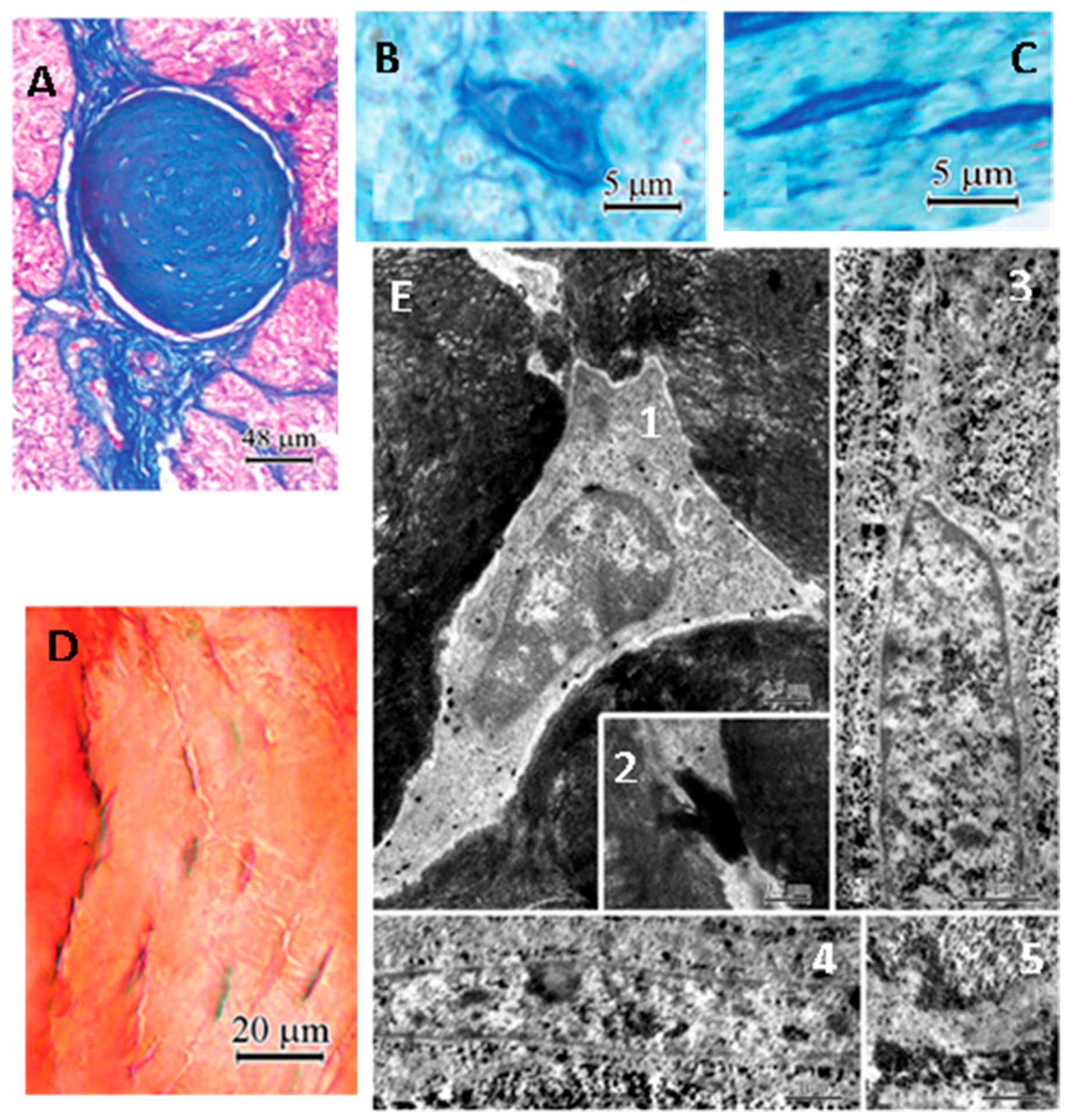 Molecules 23 00301 g005