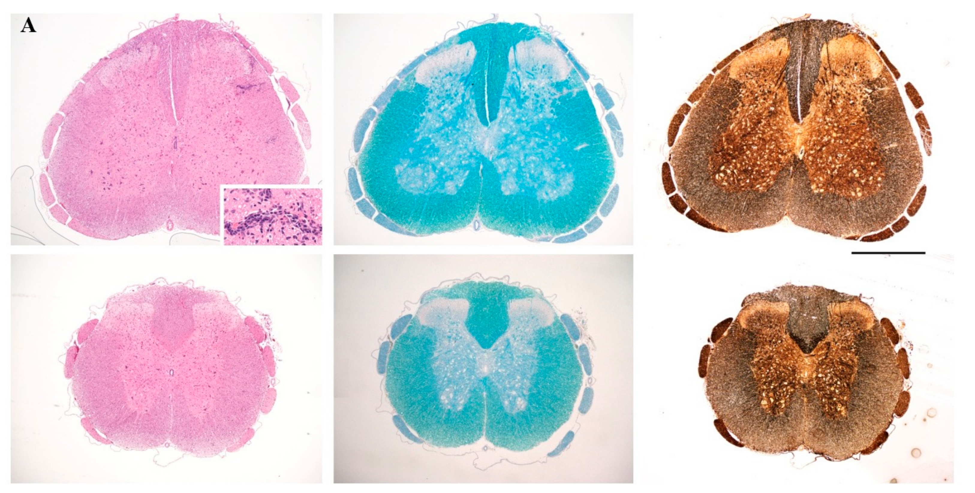 Molecules 23 00304 g002a