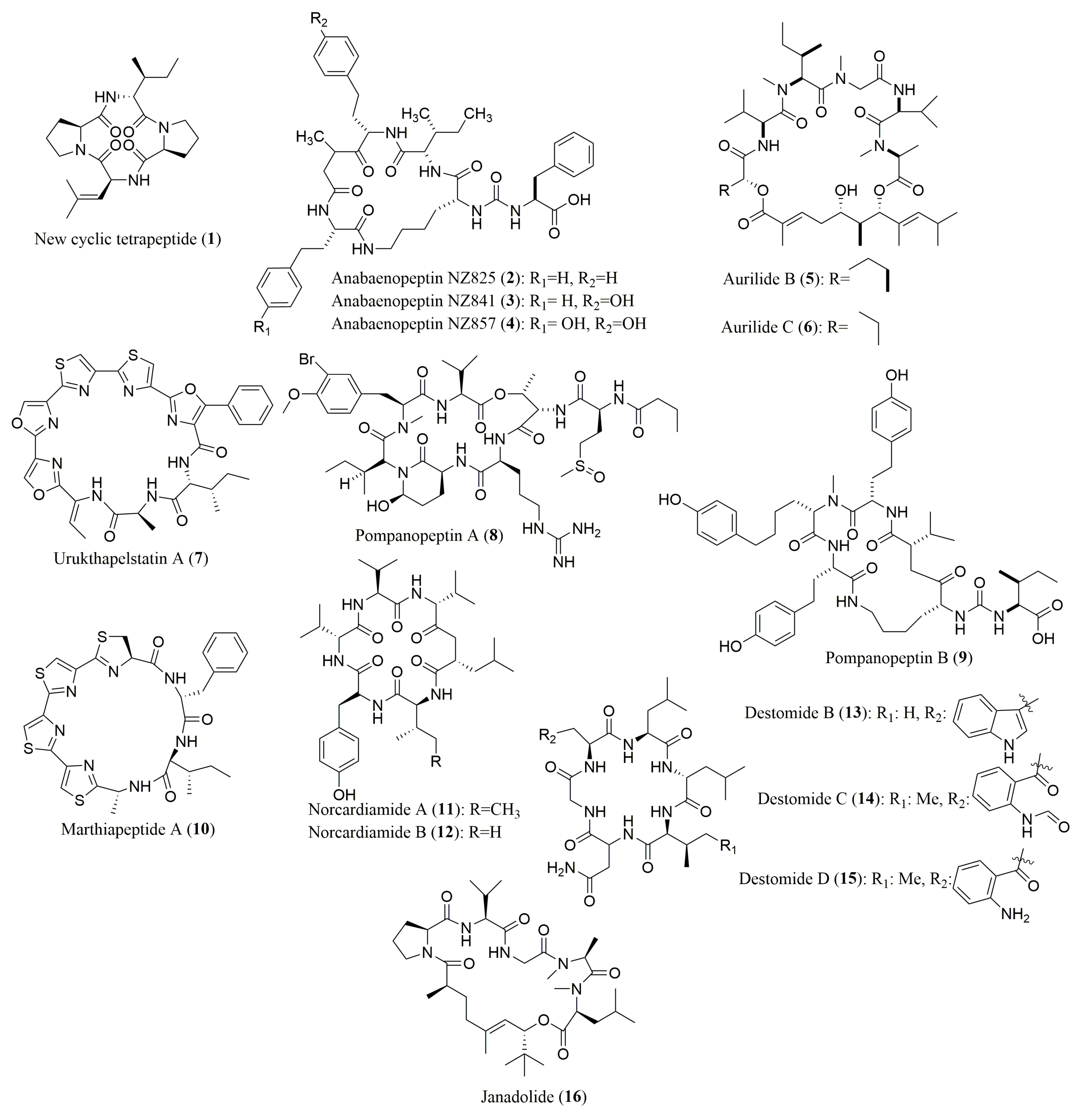 Molecules 23 00306 g002