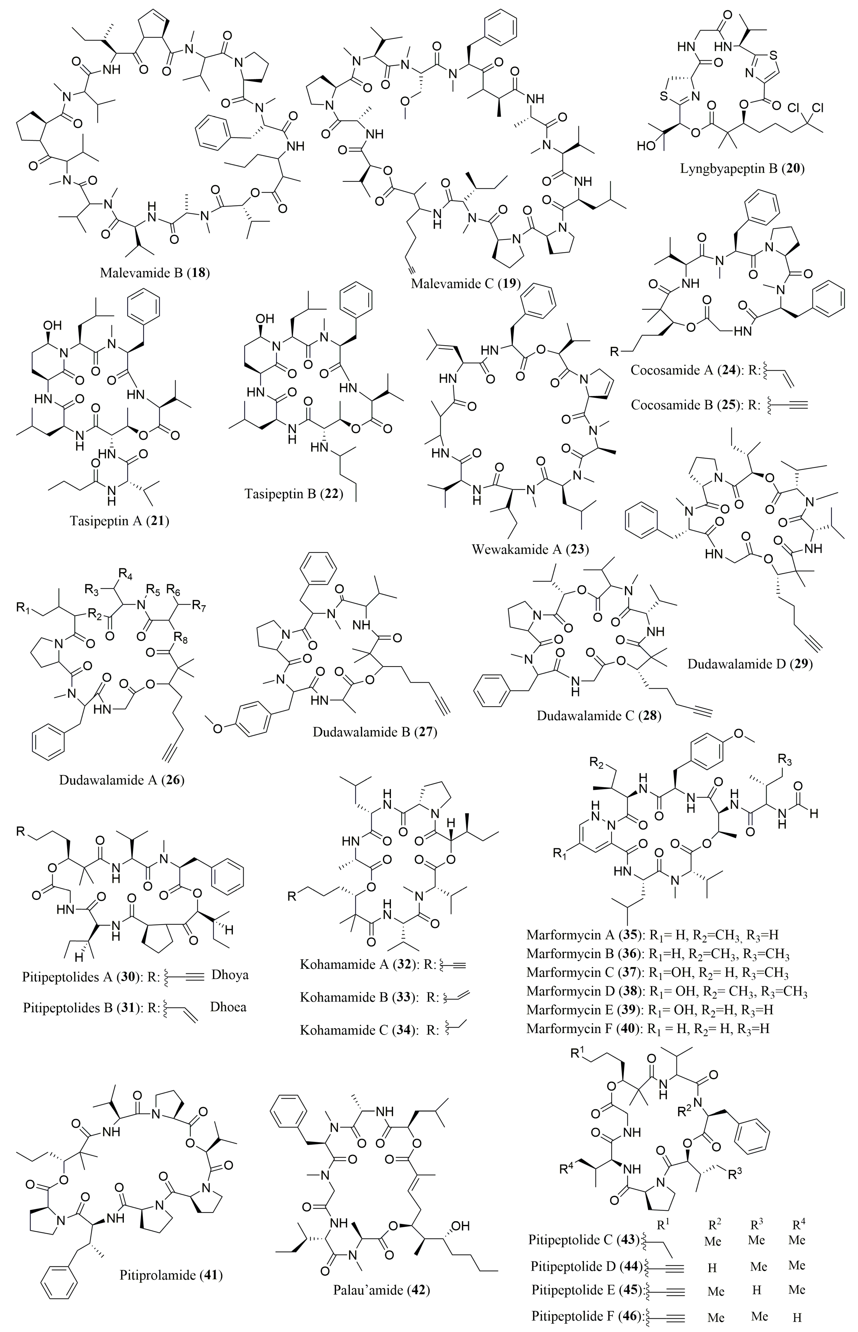 Molecules 23 00306 g004