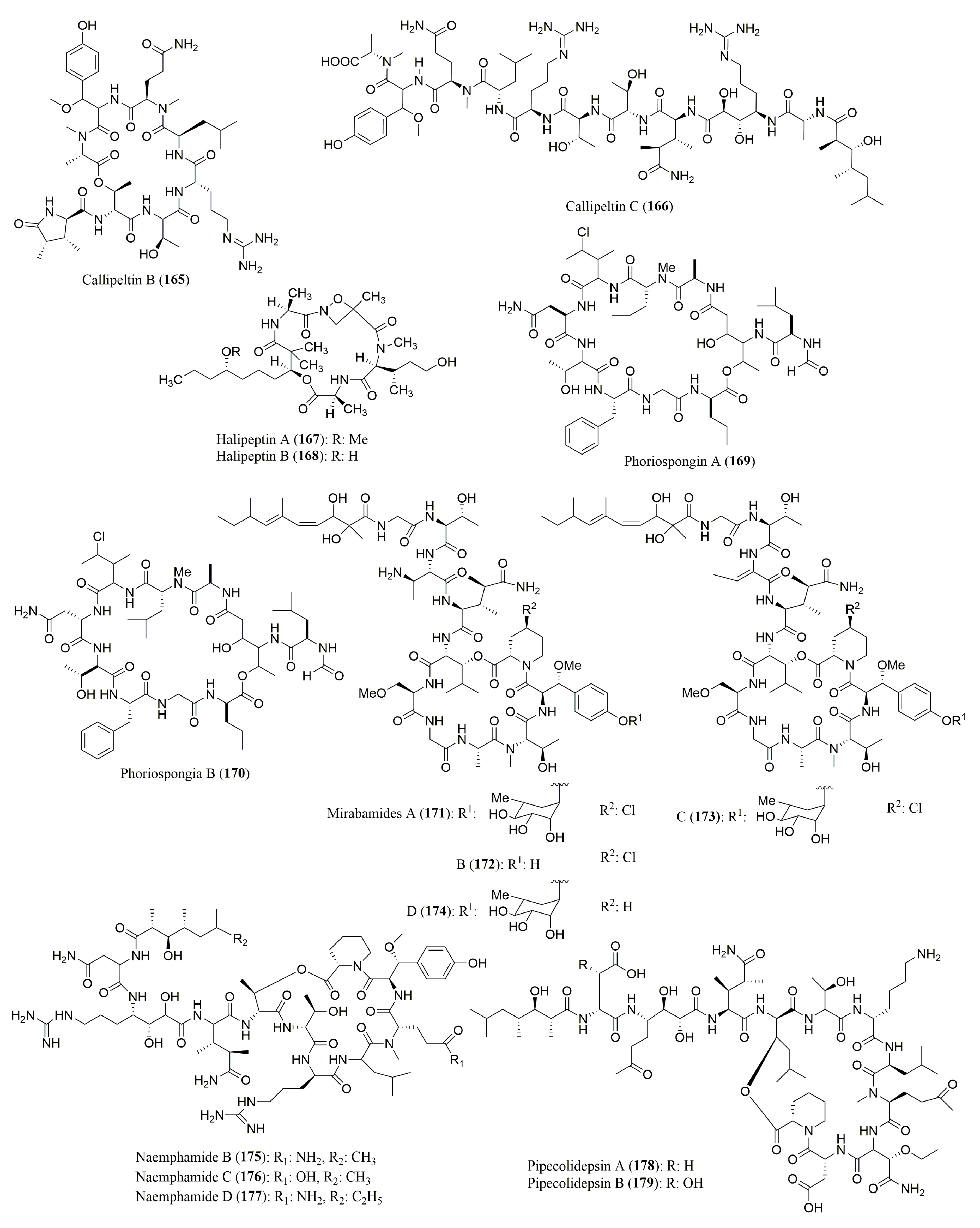 Molecules 23 00306 g012