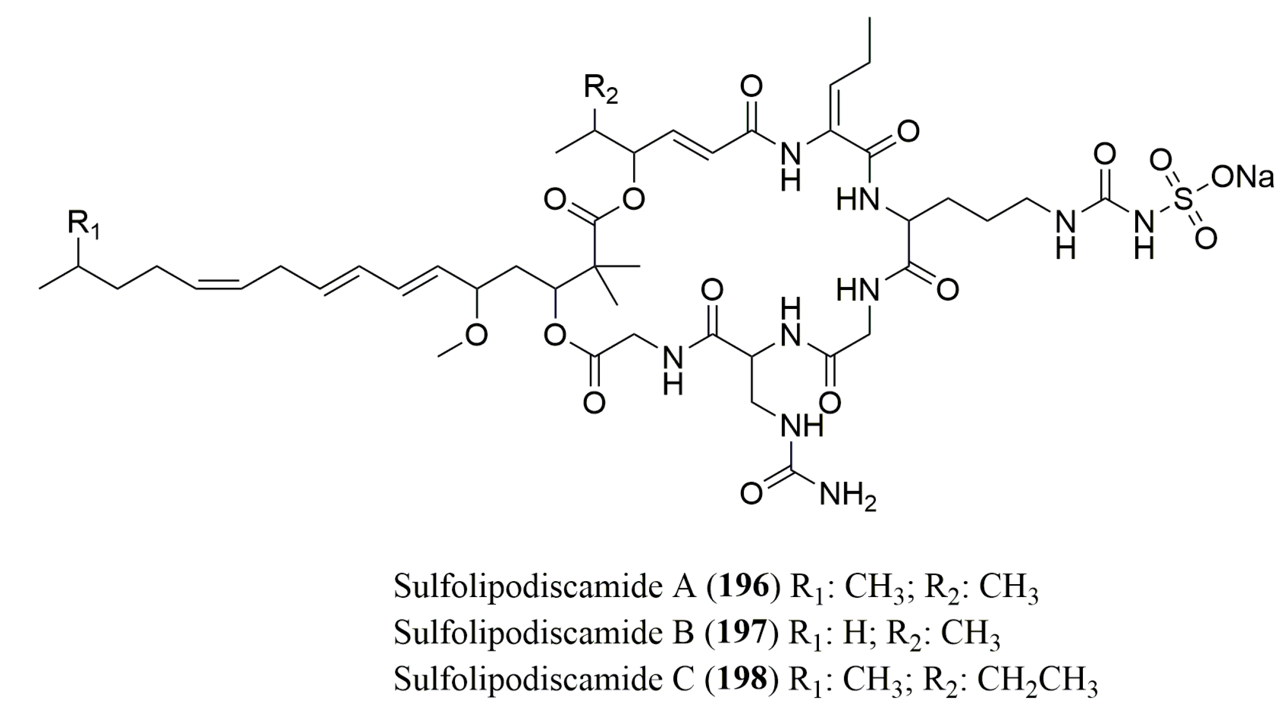 Molecules 23 00306 g014