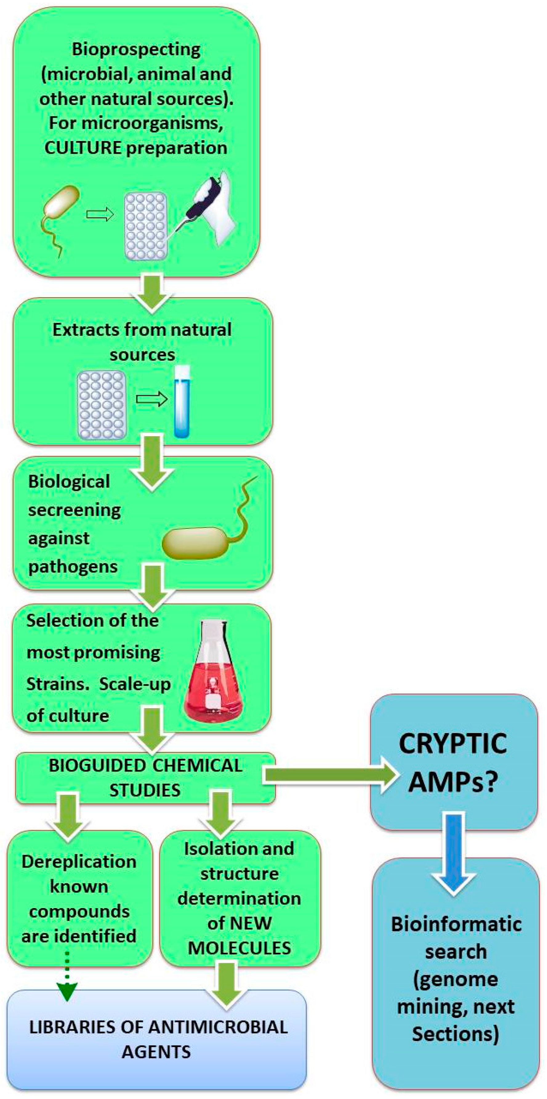 Molecules 23 00311 sch001
