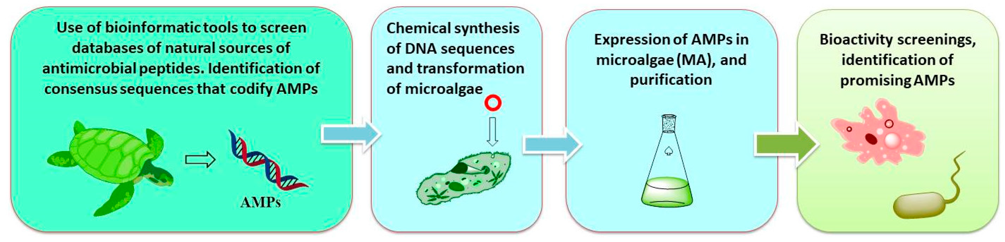 Molecules 23 00311 sch003