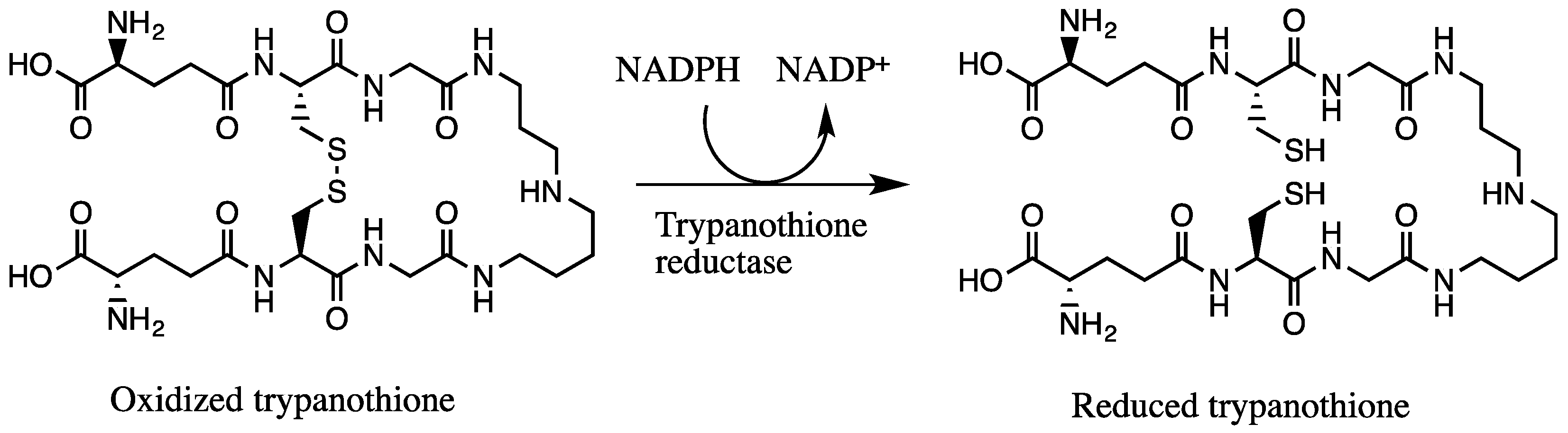 Molecules 23 00313 g005