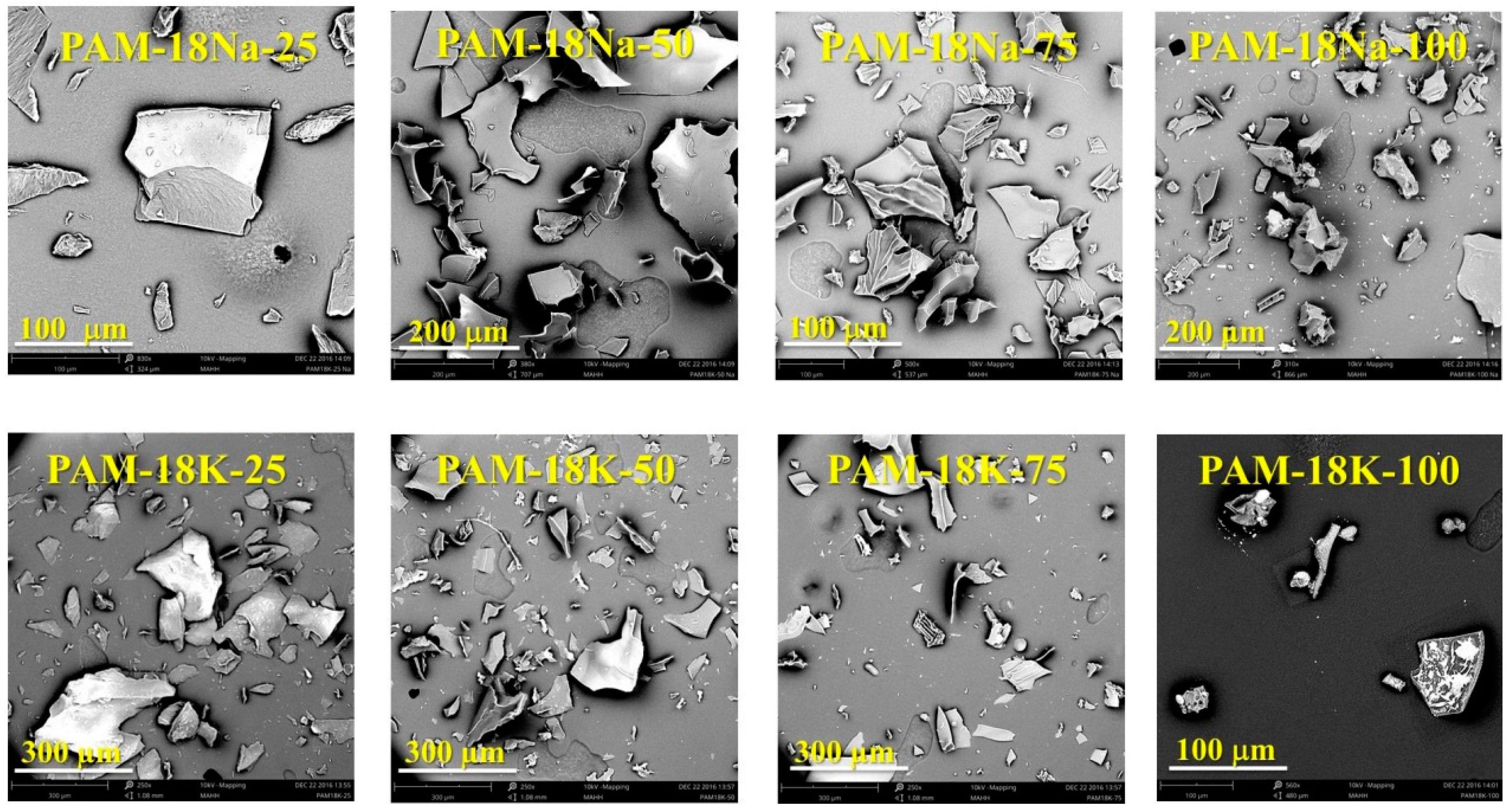 Molecules 23 00320 g006