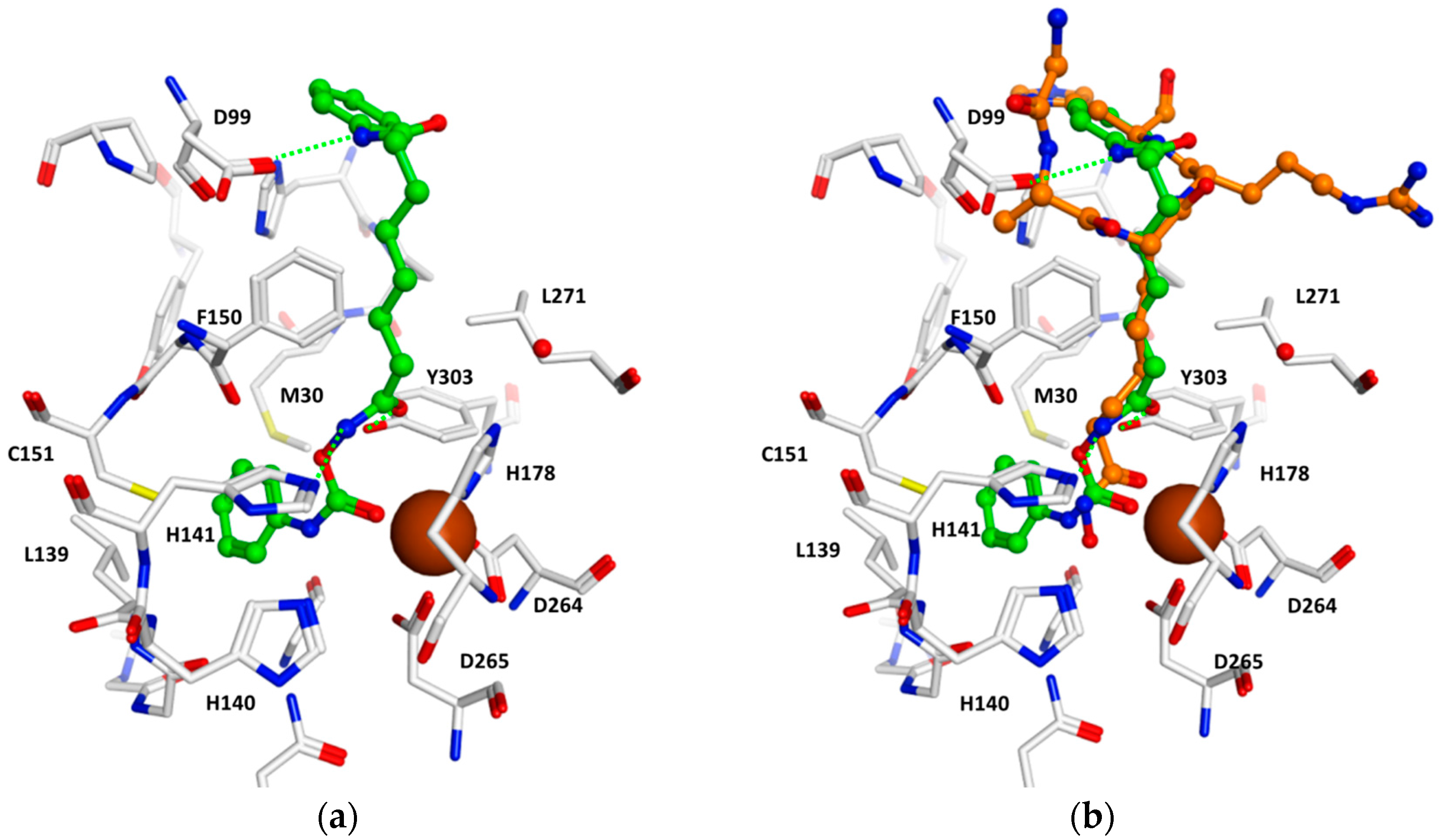 Molecules 23 00321 g001