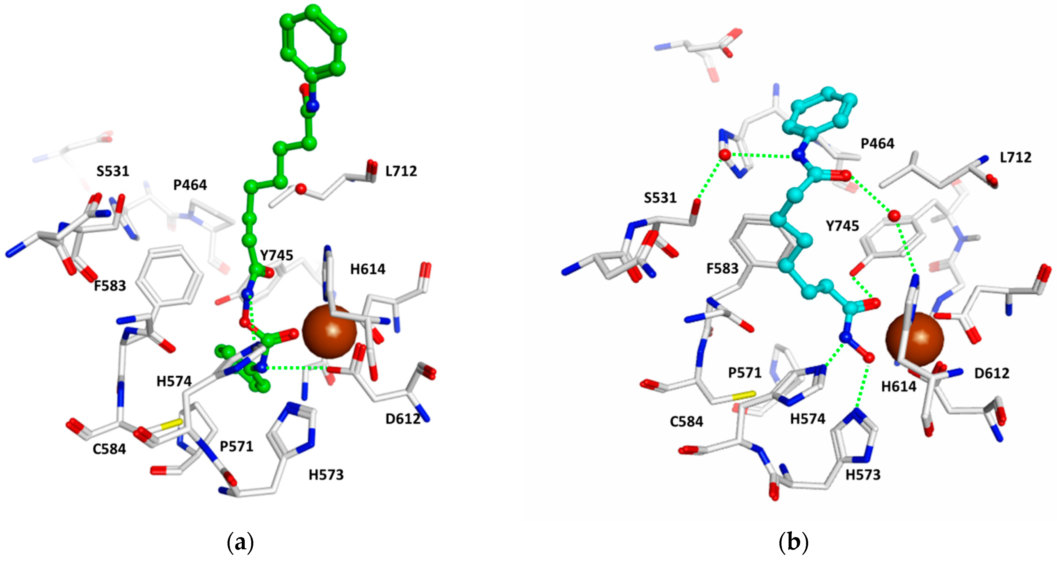 Molecules 23 00321 g002