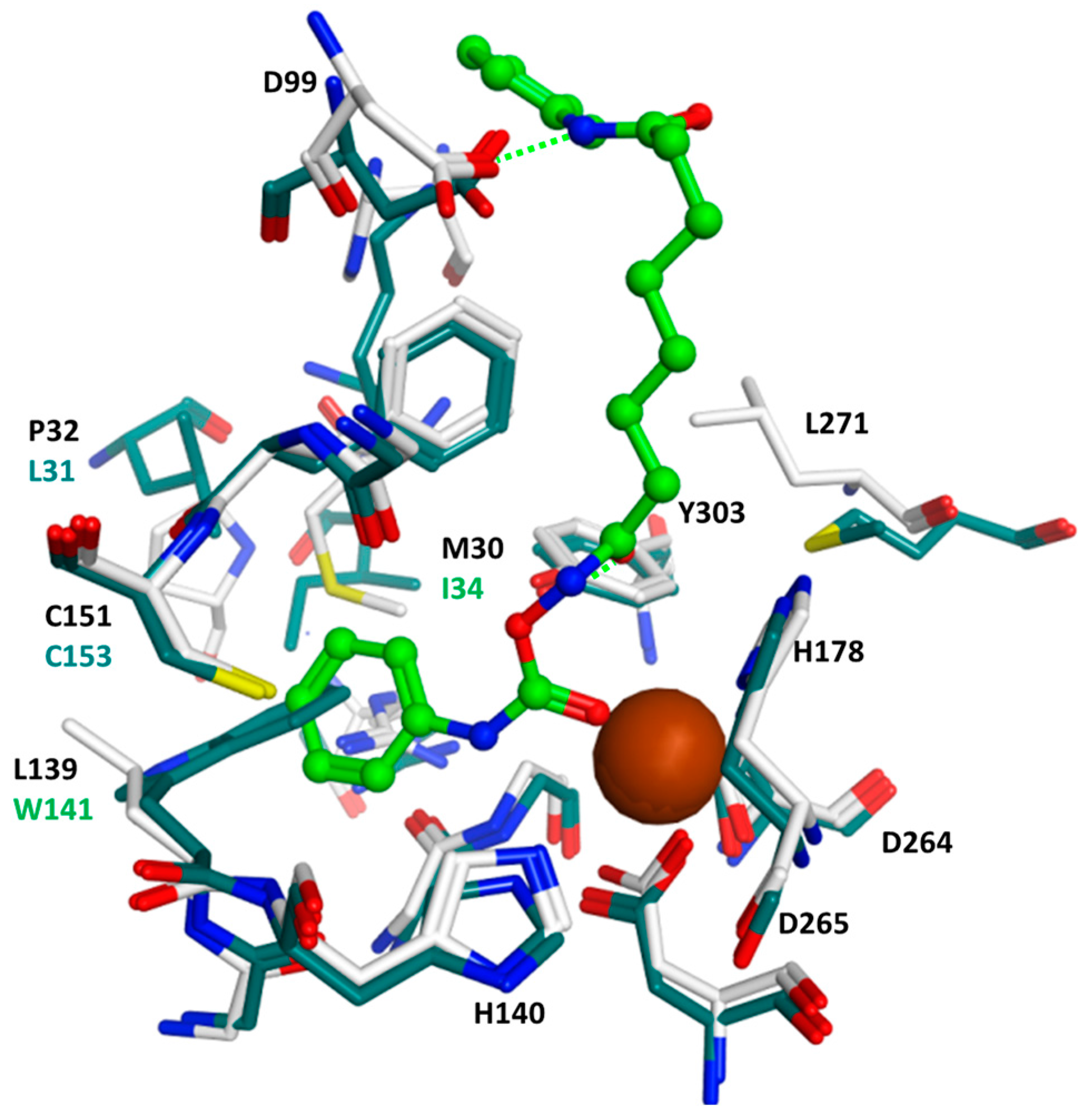 Molecules 23 00321 g003