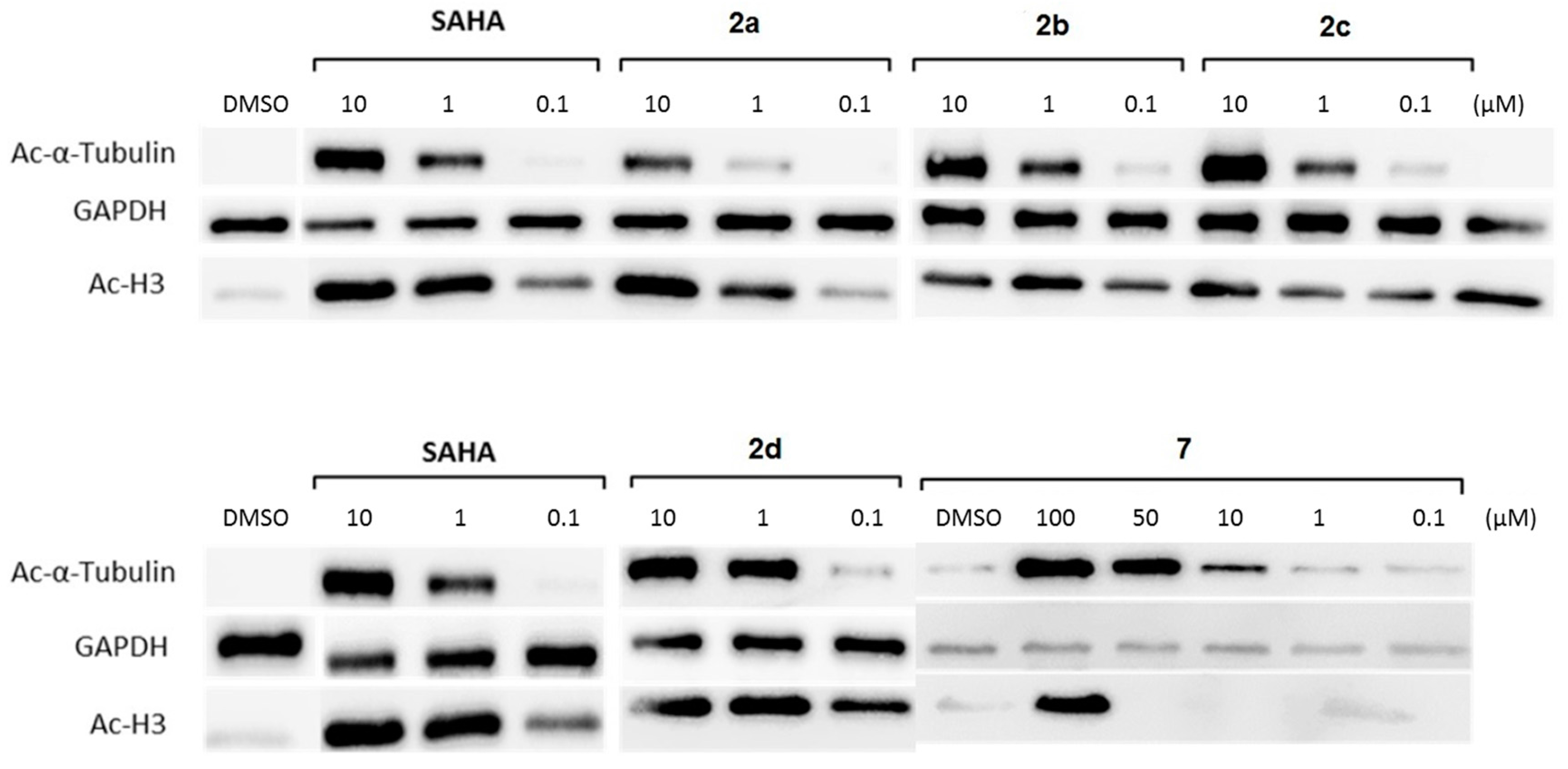 Molecules 23 00321 g004