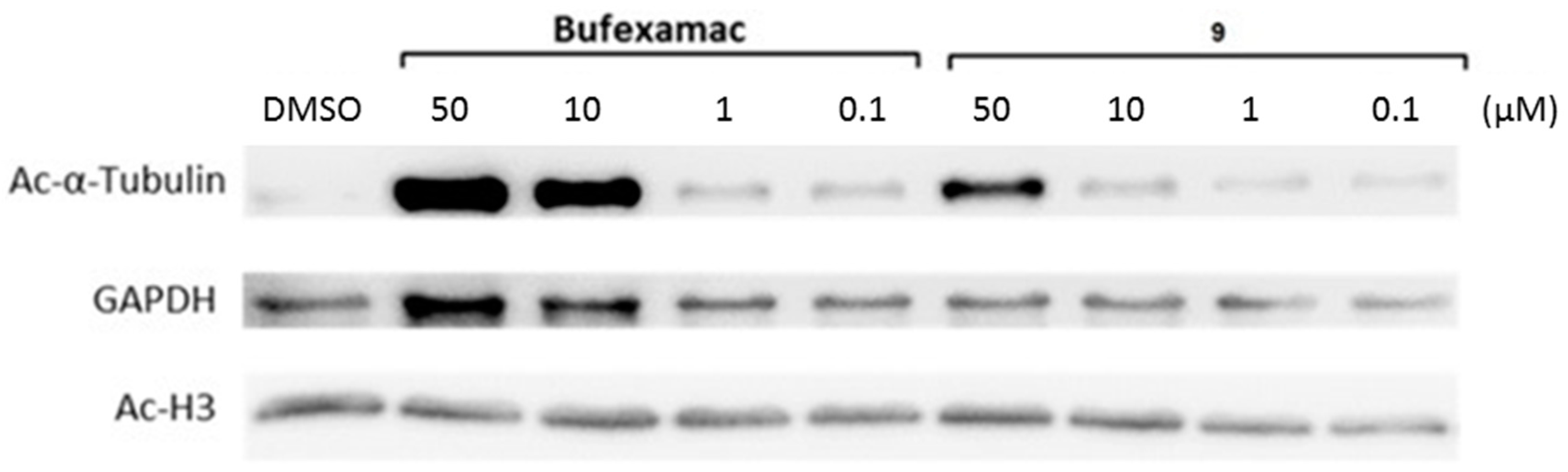 Molecules 23 00321 g005