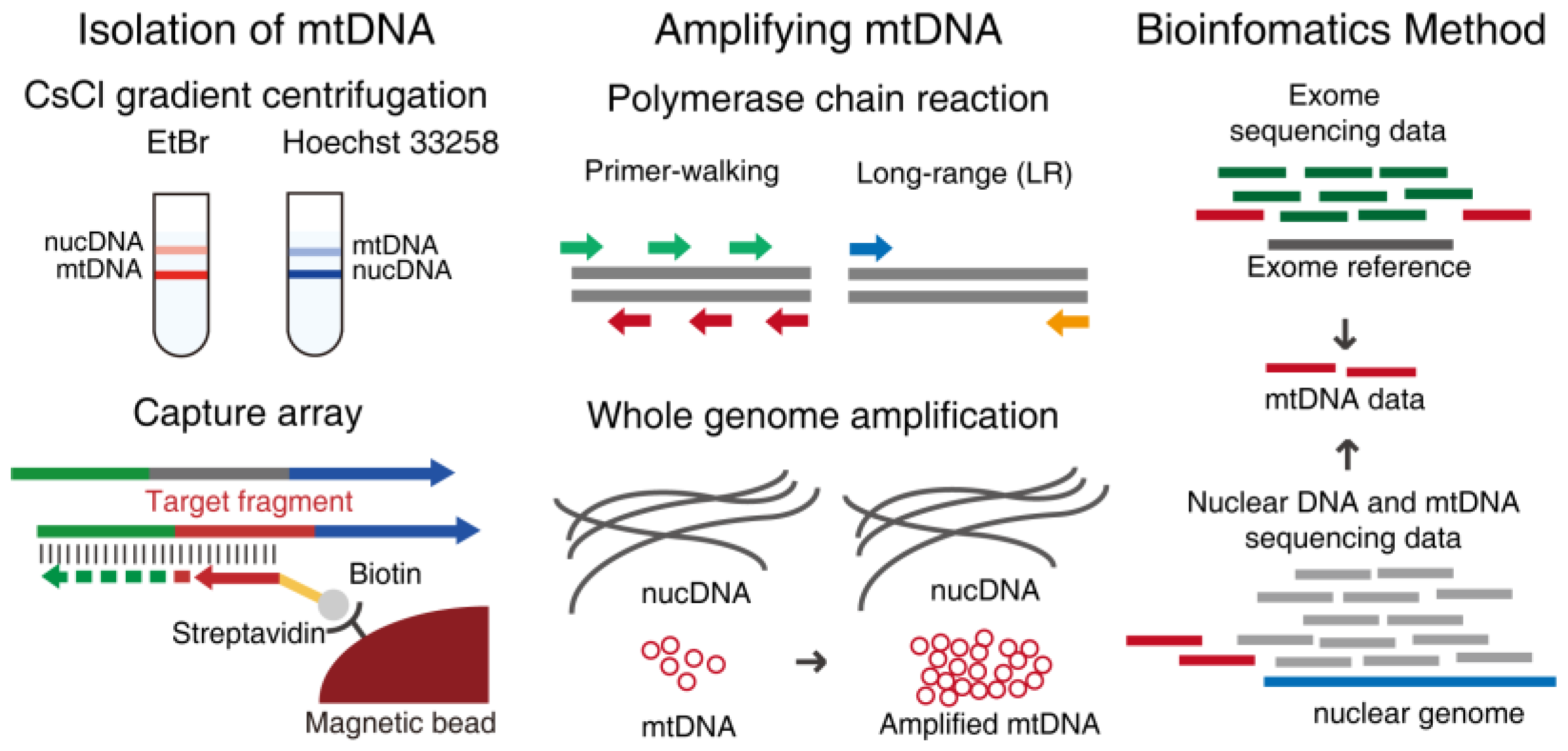 Molecules 23 00323 g002
