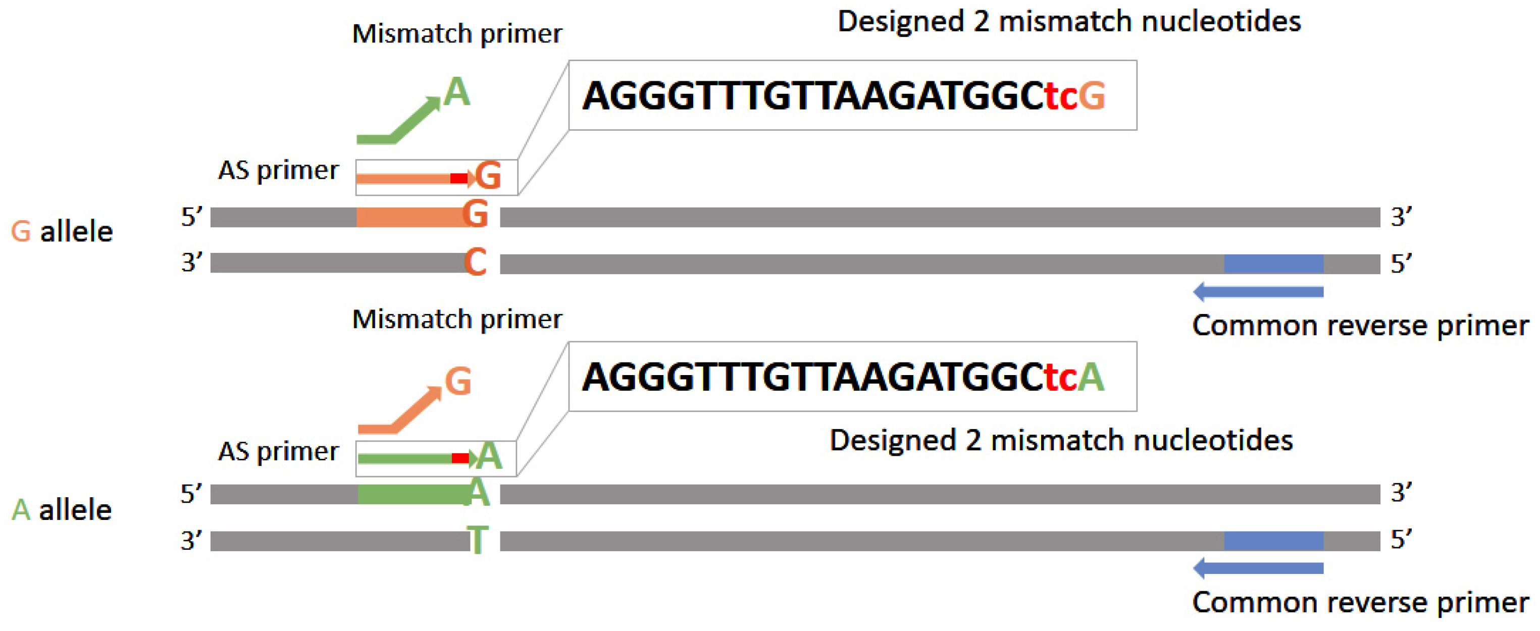 Molecules 23 00323 g004
