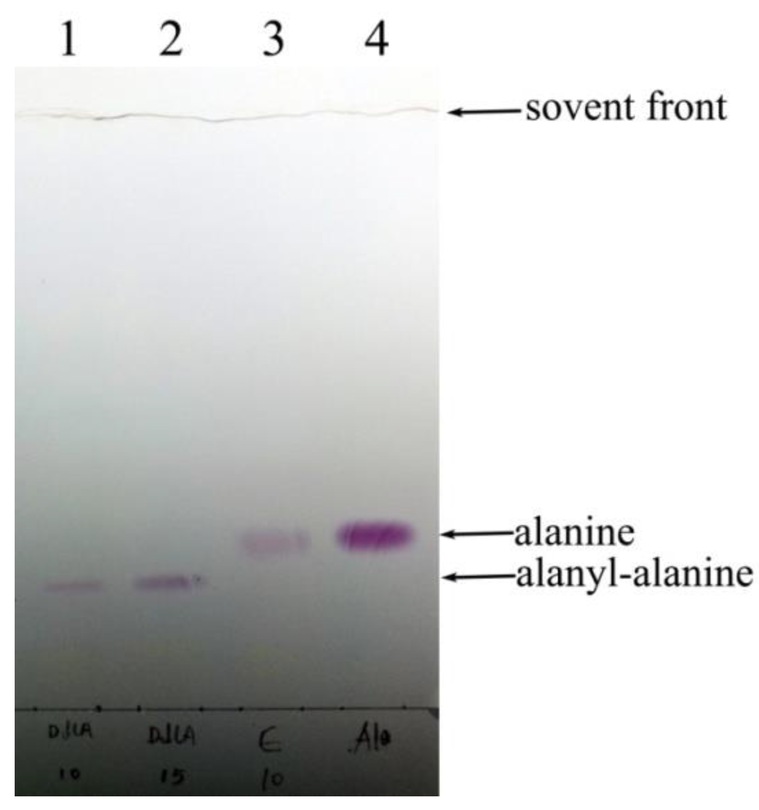 Molecules 23 00324 g003