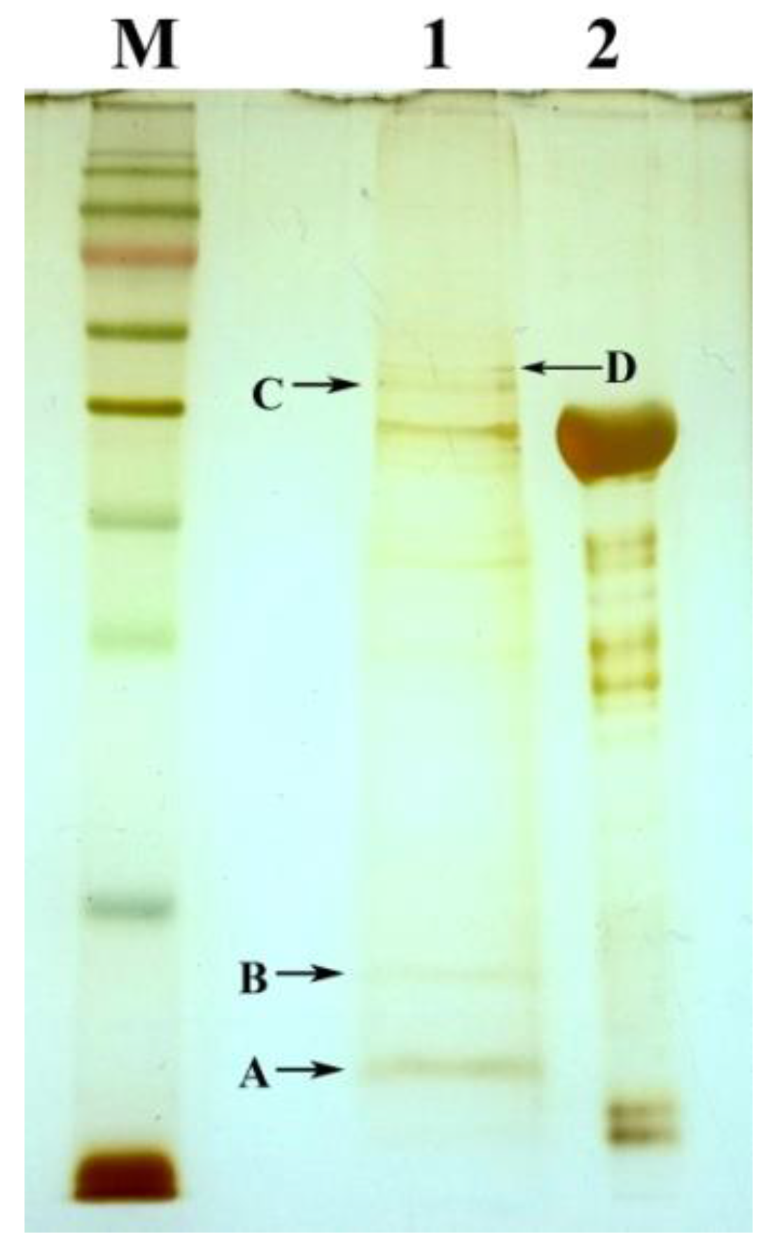 Molecules 23 00324 g006