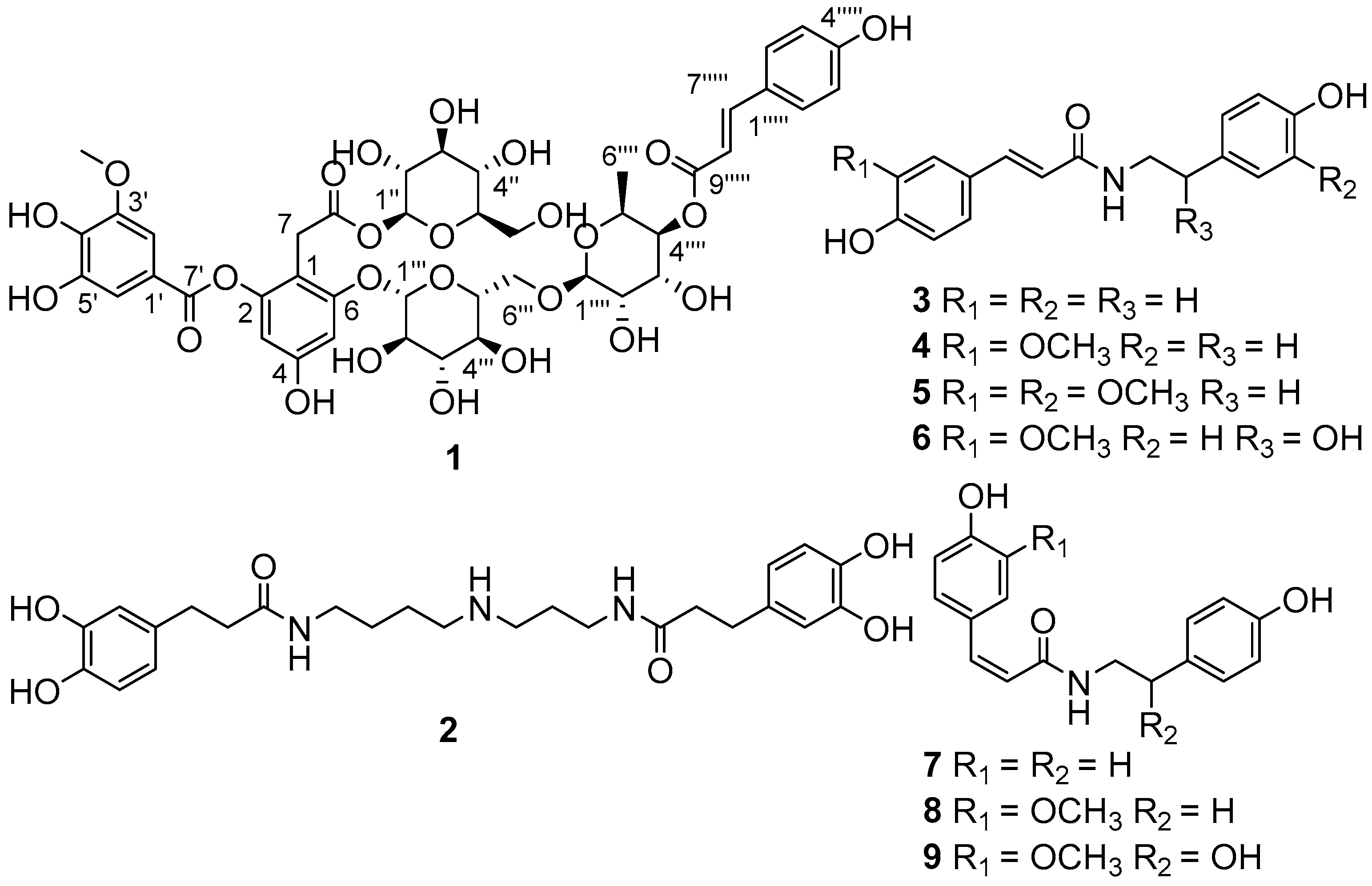 Molecules 23 00325 g001
