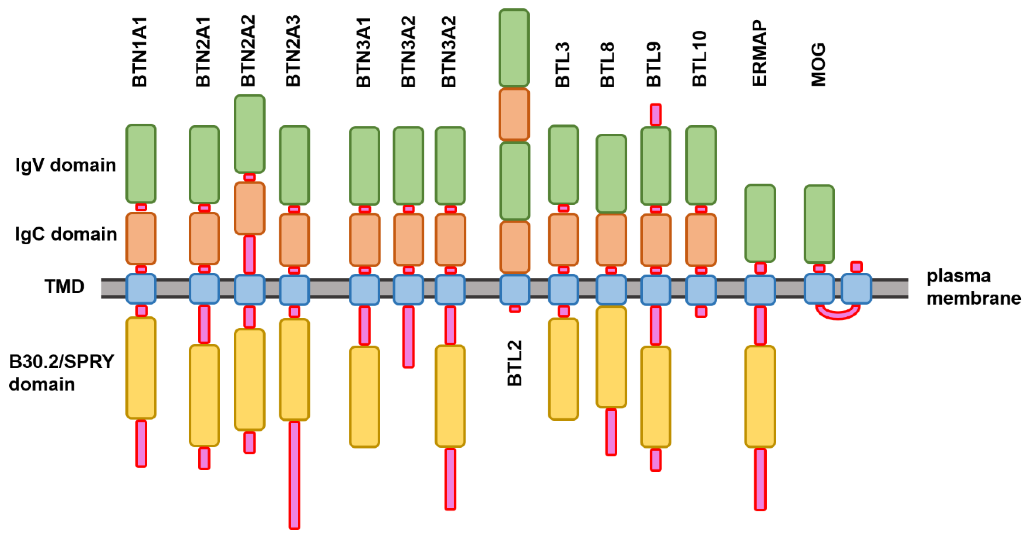 Molecules 23 00328 g001