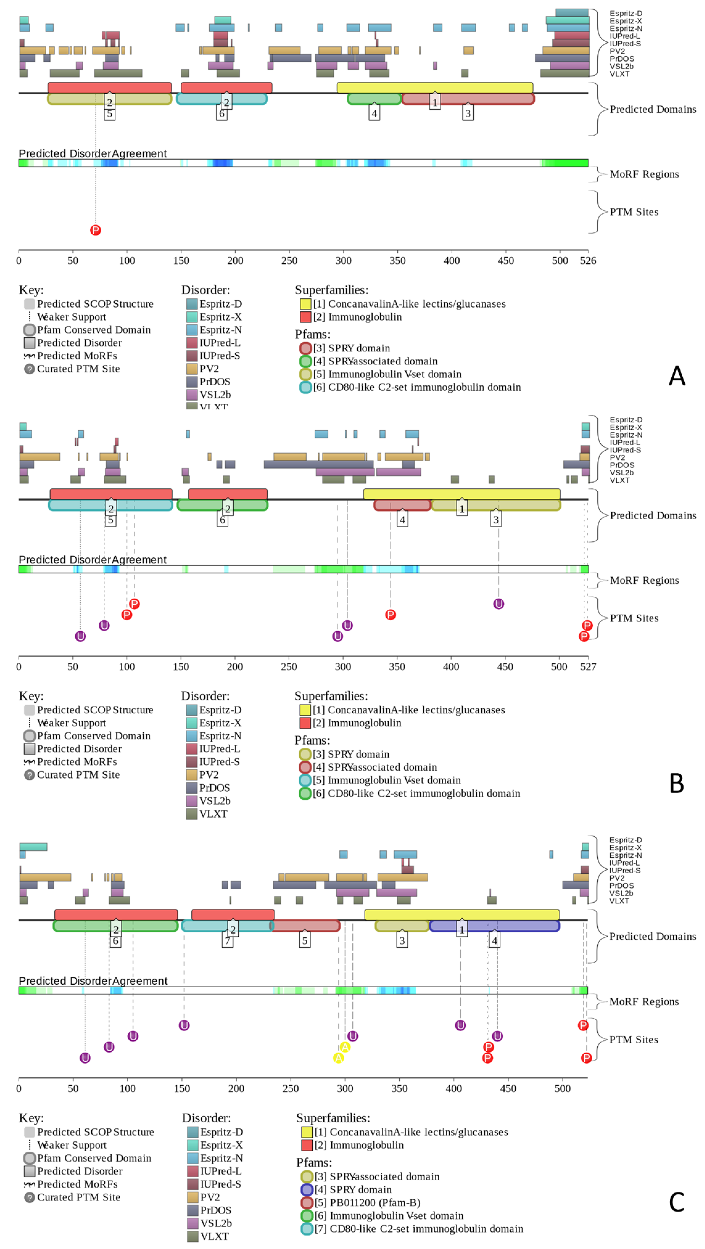 Molecules 23 00328 g005