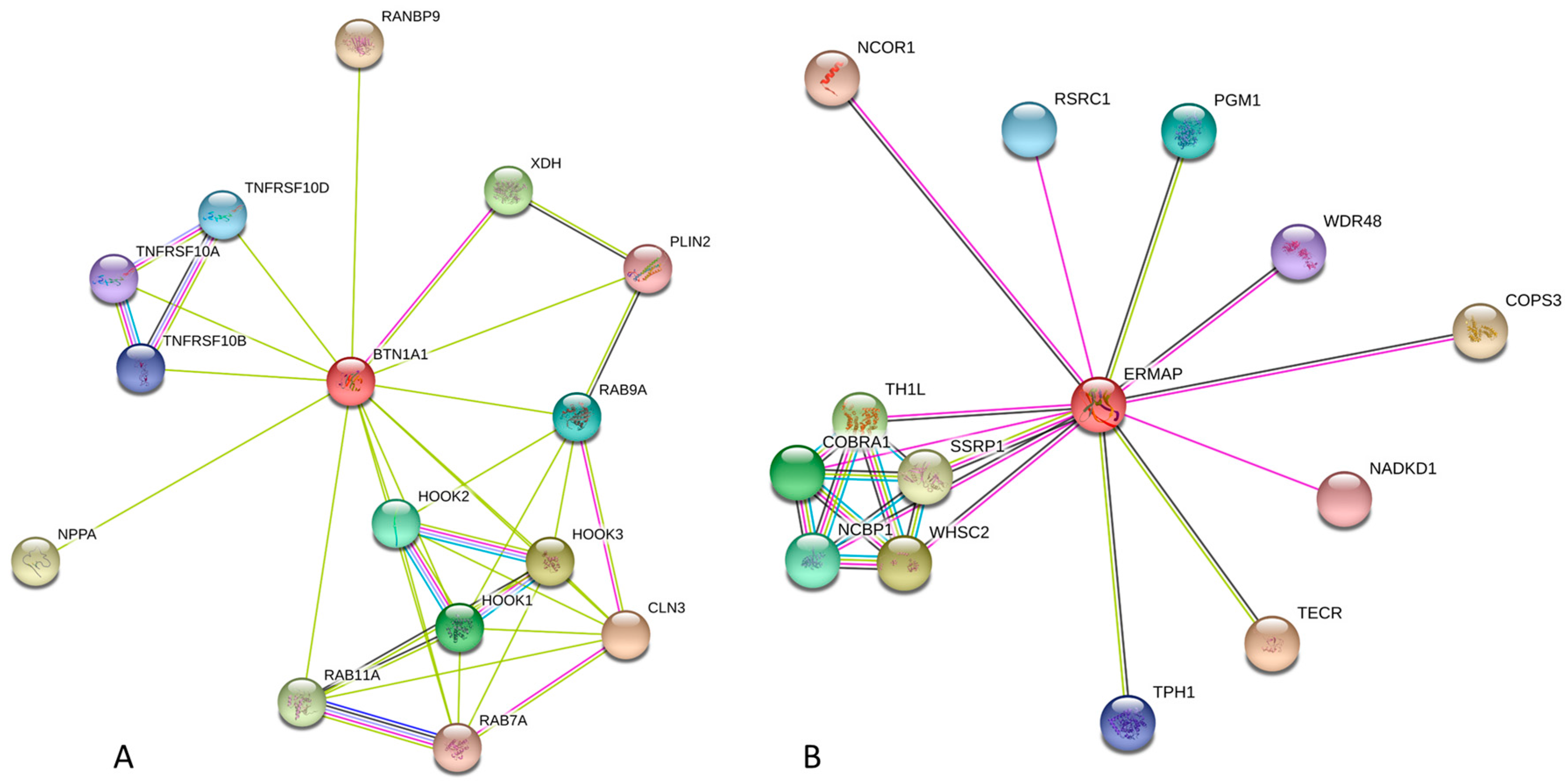 Molecules 23 00328 g006