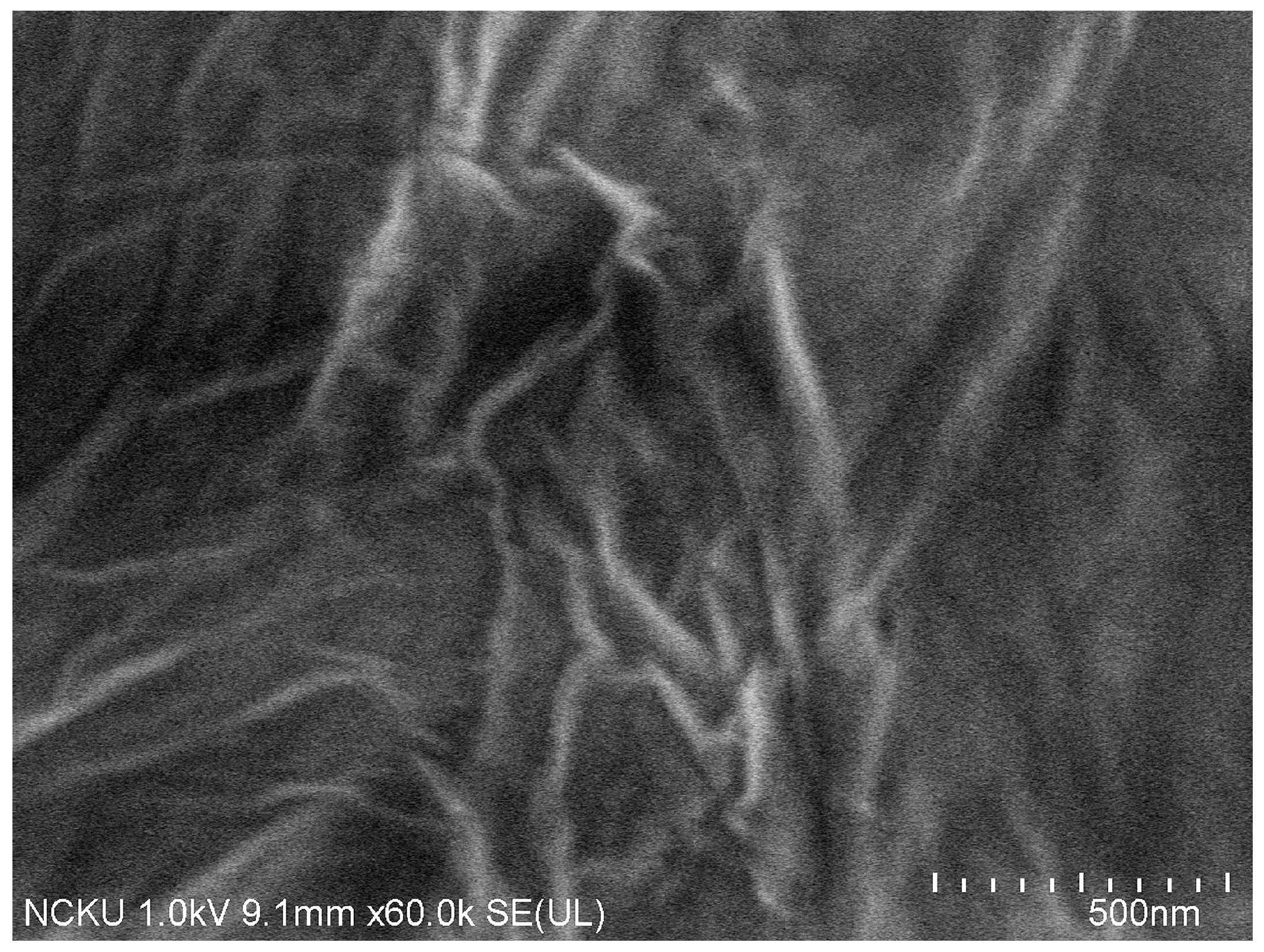 Molecules 23 00330 g005