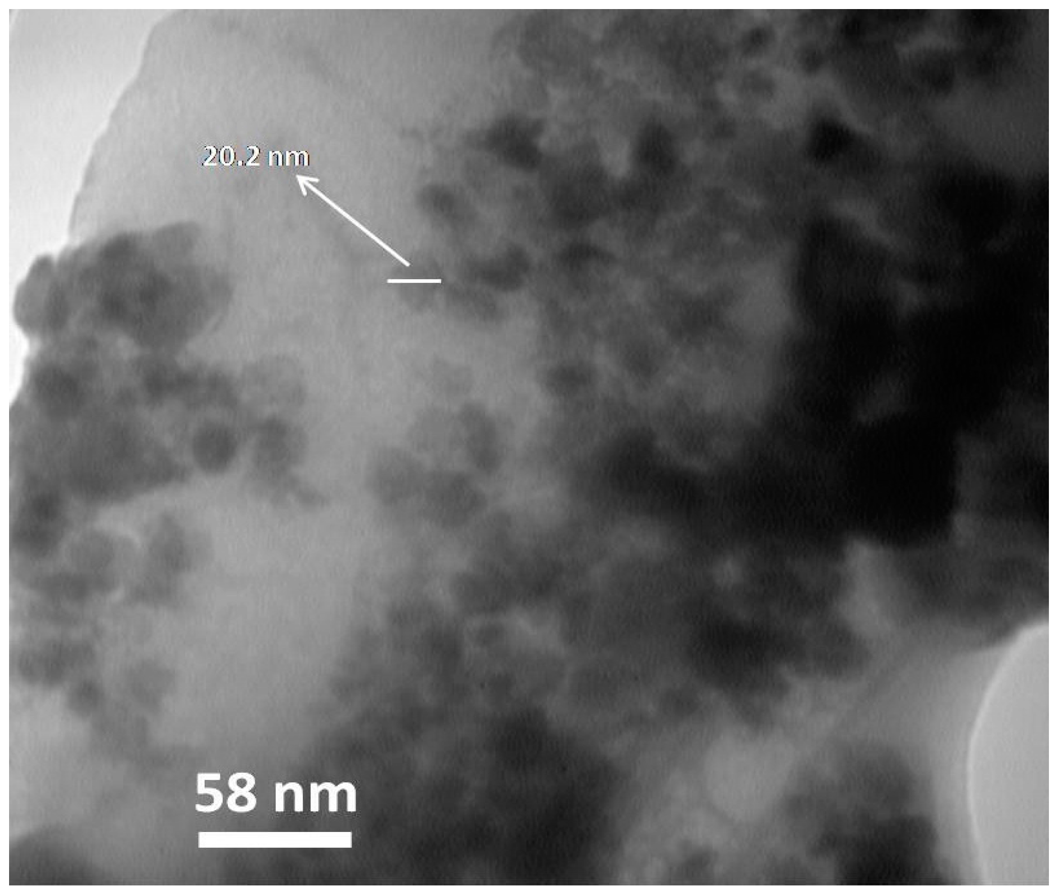 Molecules 23 00330 g006